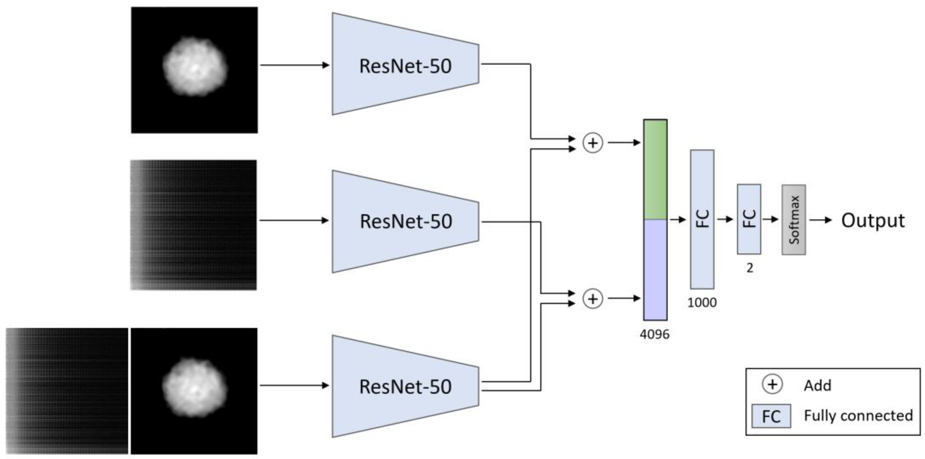 Cells 10 03353 g005 550