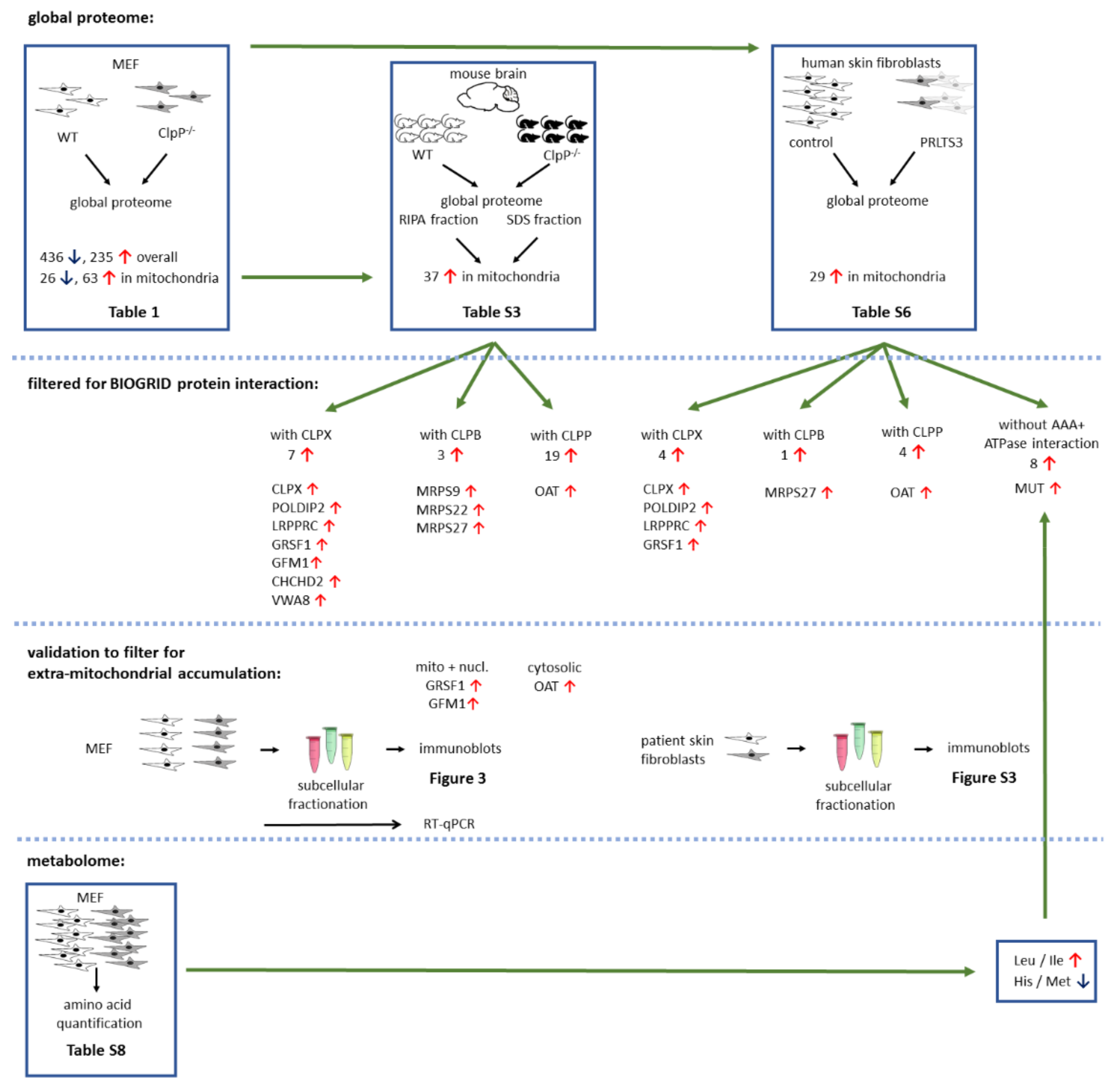 Cells 10 03354 g001 Cells 10 03354 g001
