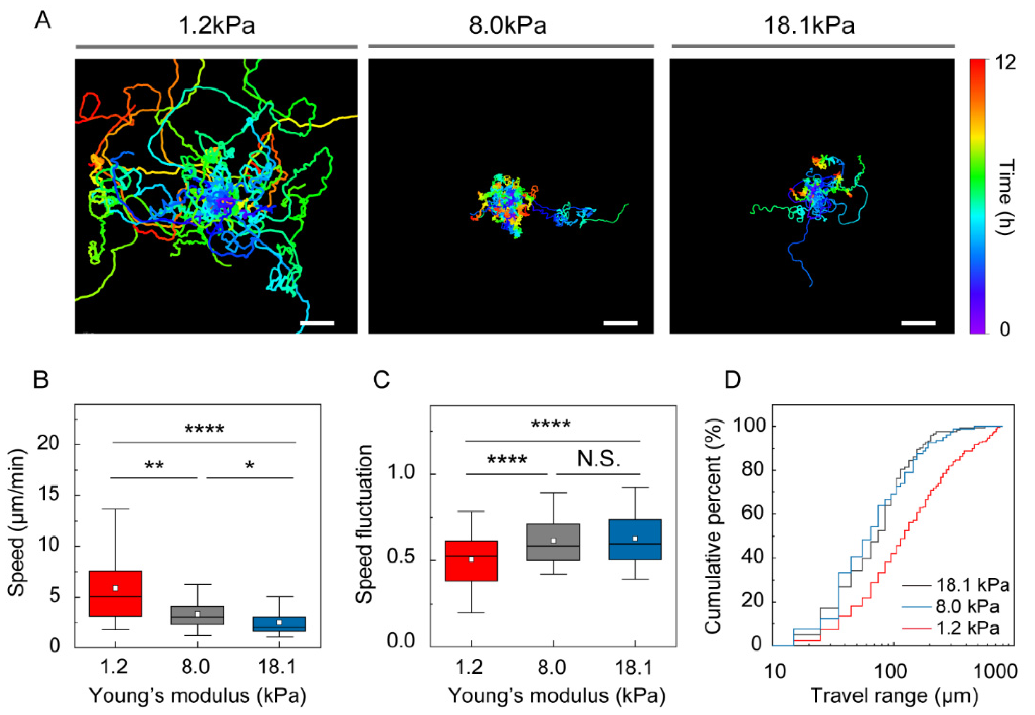 Cells 10 03362 g002 550