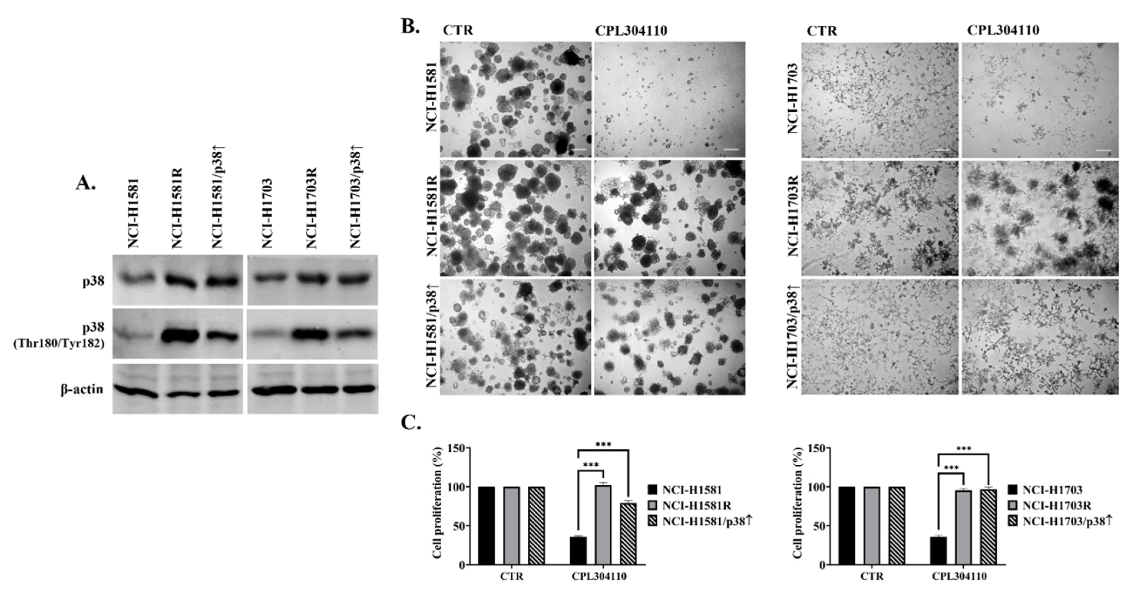 Cells 10 03363 g005 550