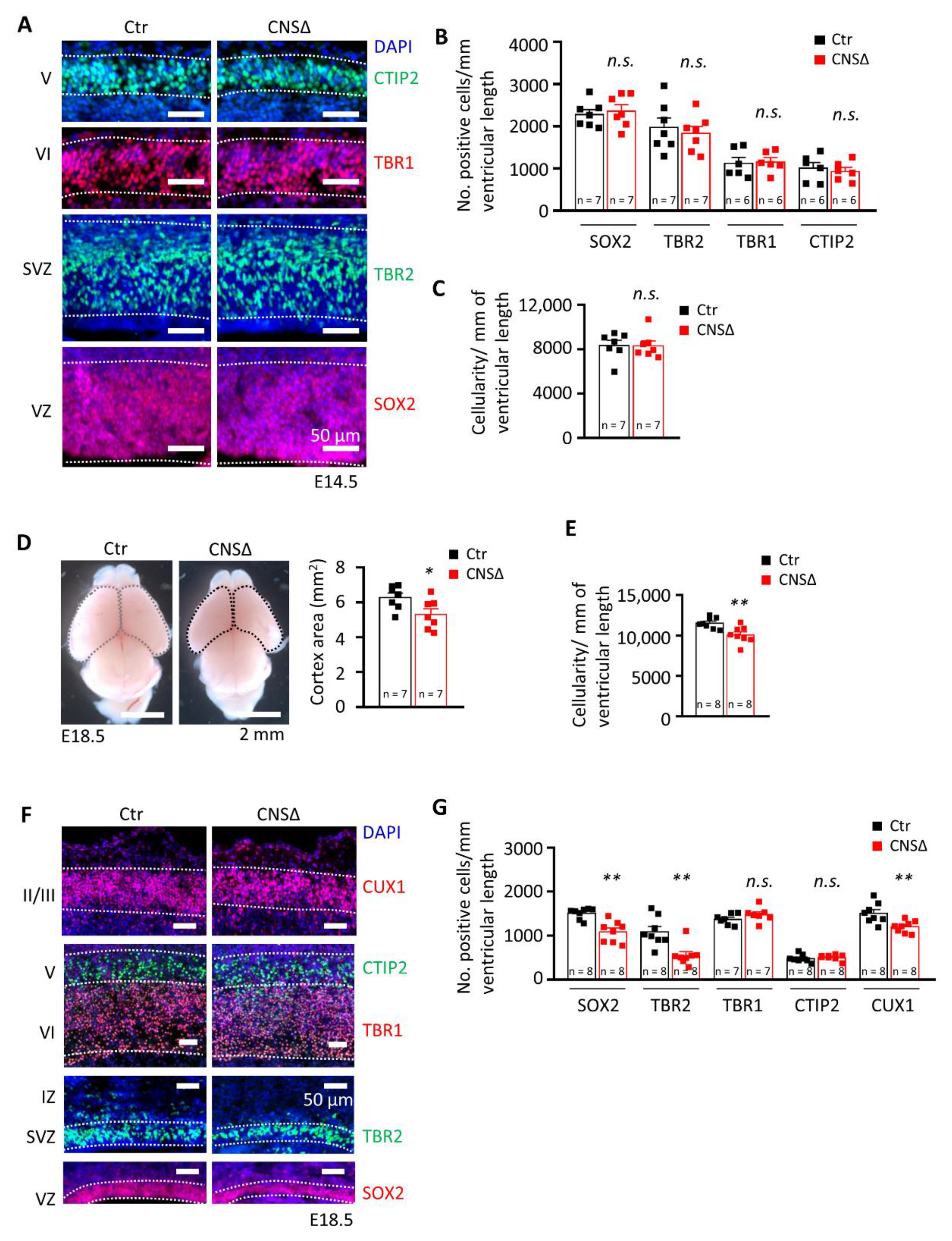 Cells 10 03365 g001 Cells 10 03365 g001