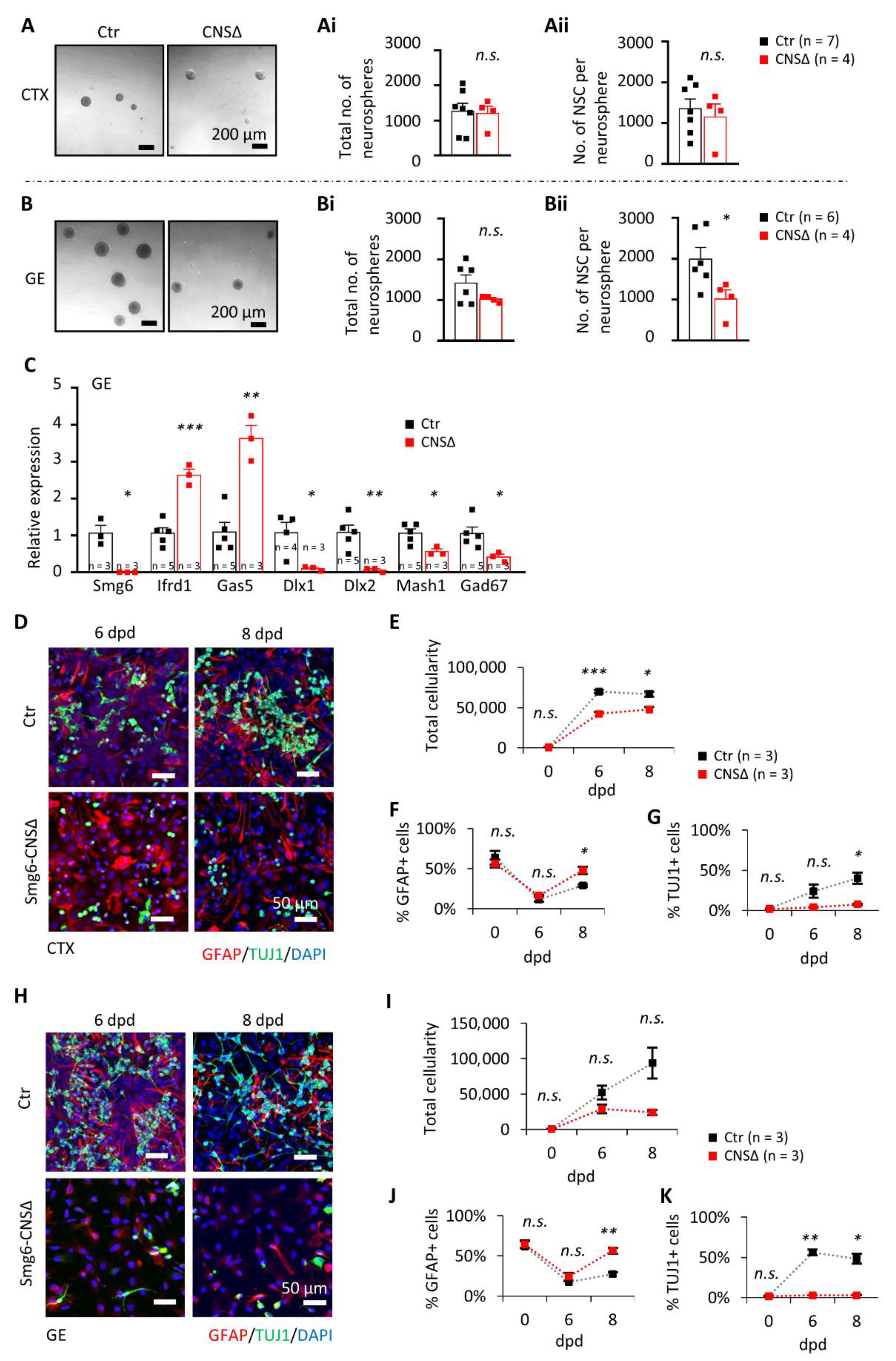 Cells 10 03365 g003 Cells 10 03365 g003