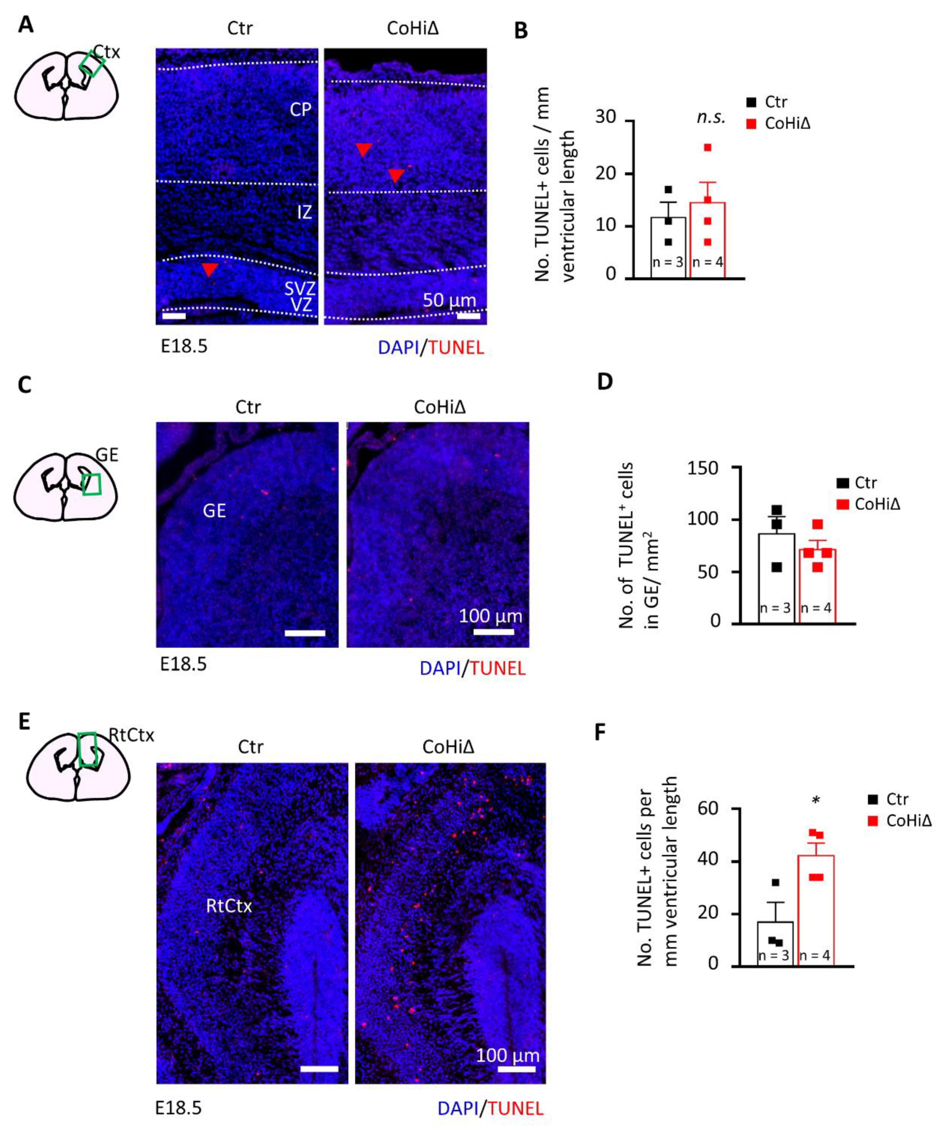 Cells 10 03365 g005 Cells 10 03365 g005