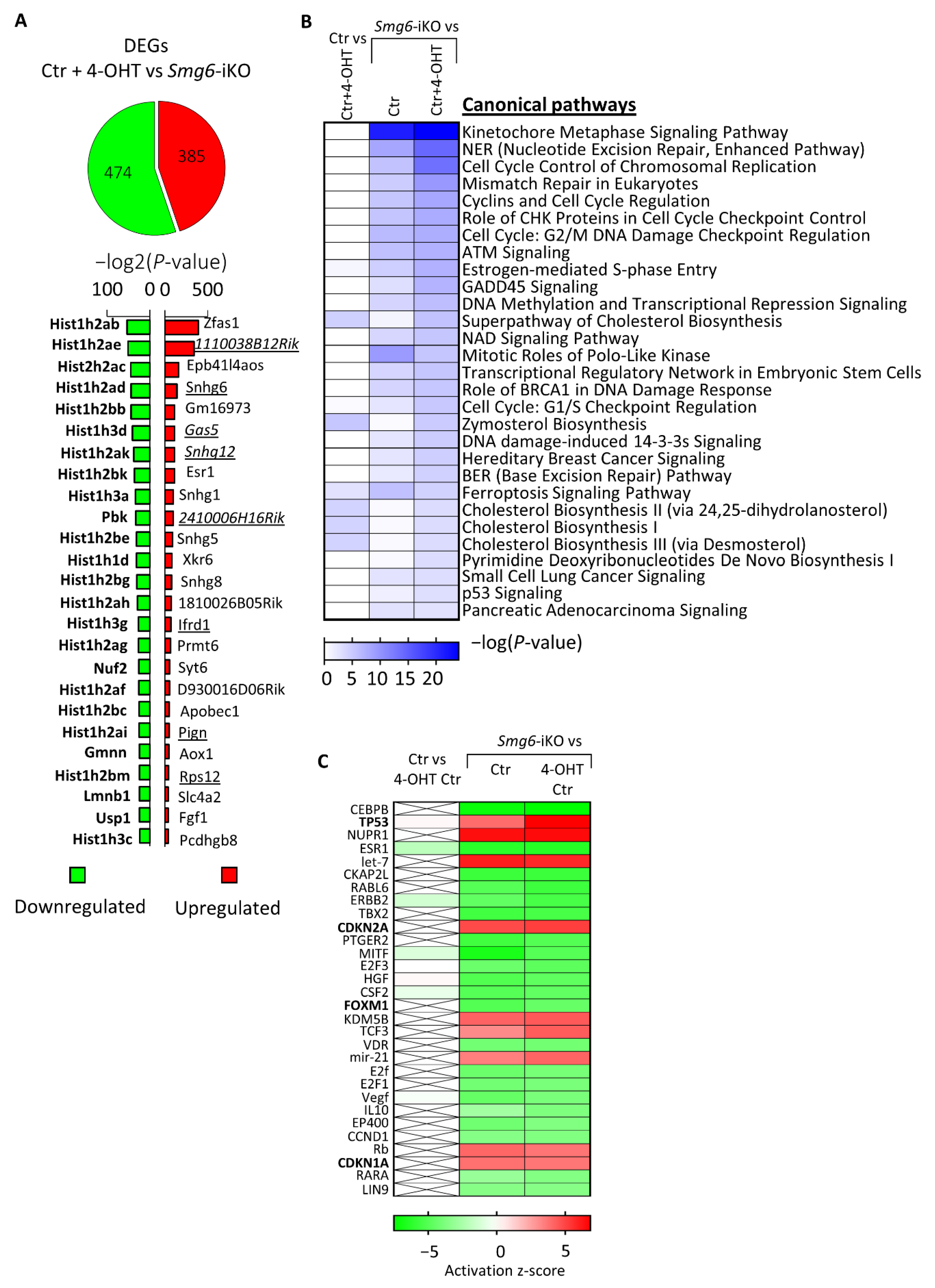 Cells 10 03365 g006 Cells 10 03365 g006