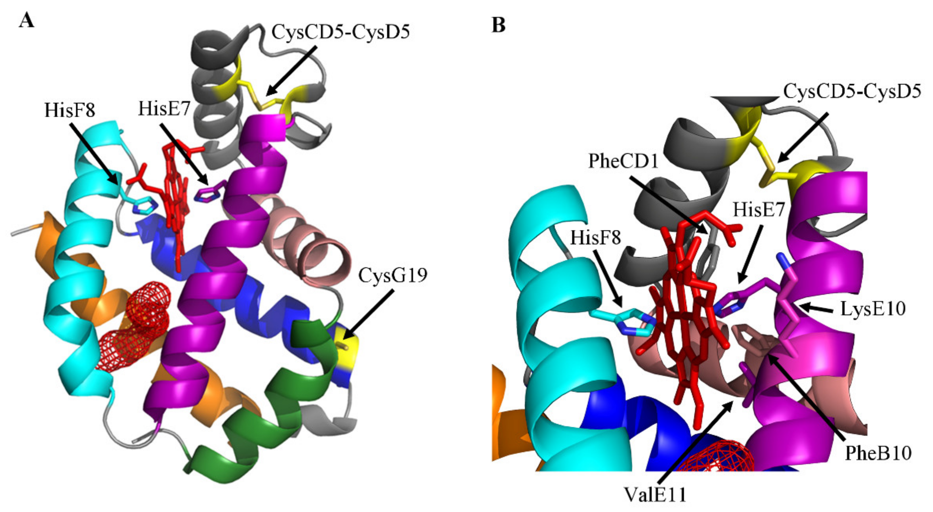 Cells 10 03366 g001 Cells 10 03366 g001