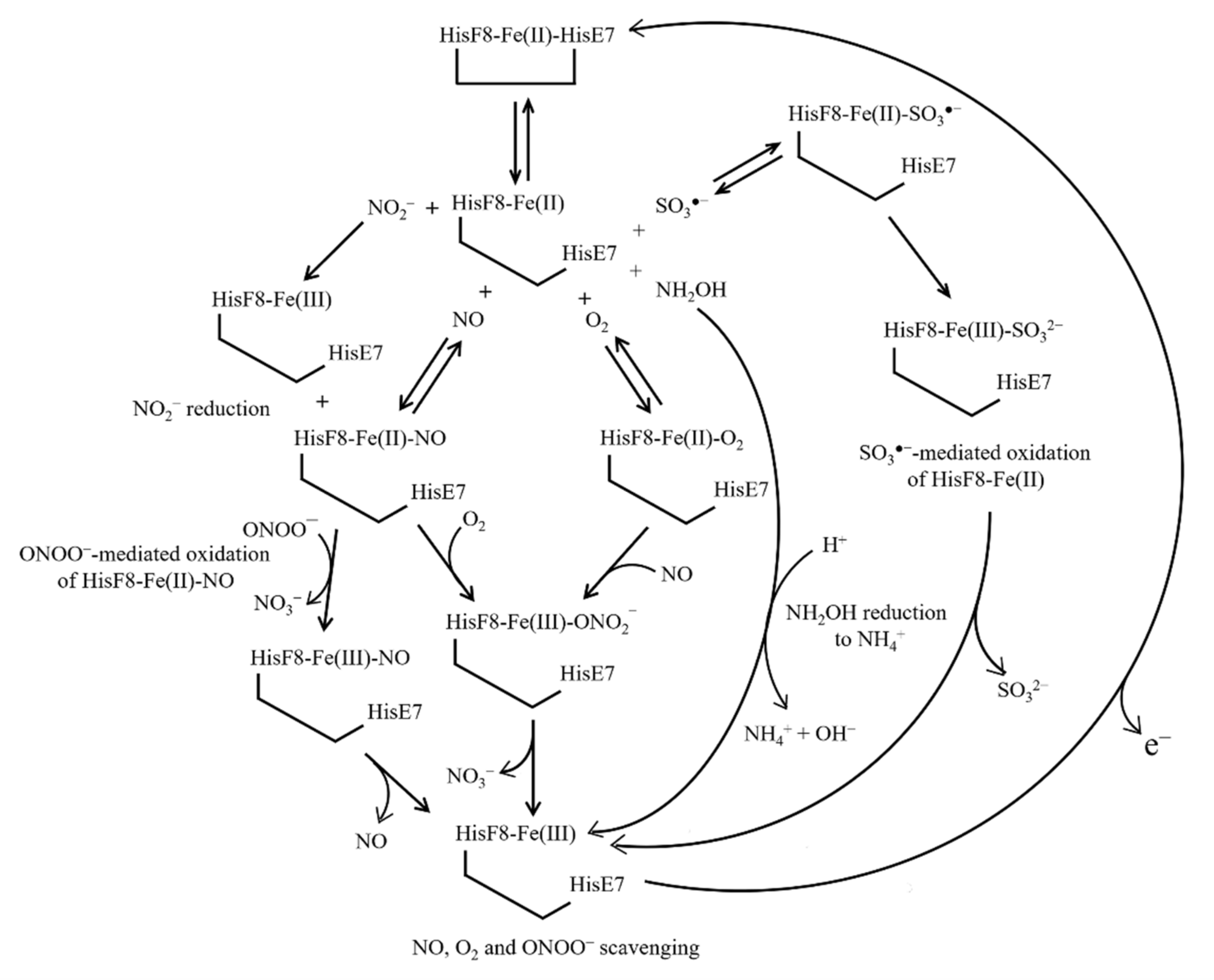 Cells 10 03366 g003 Cells 10 03366 g003
