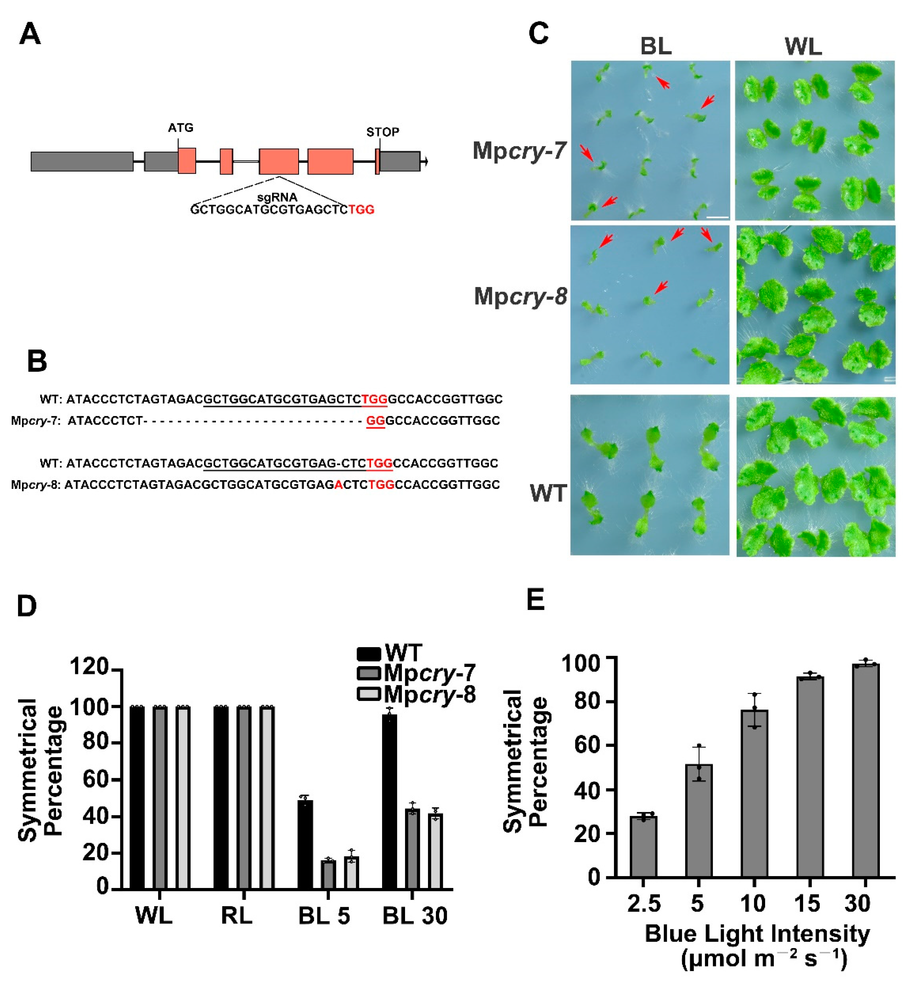 Cells 10 03387 g002 Cells 10 03387 g002