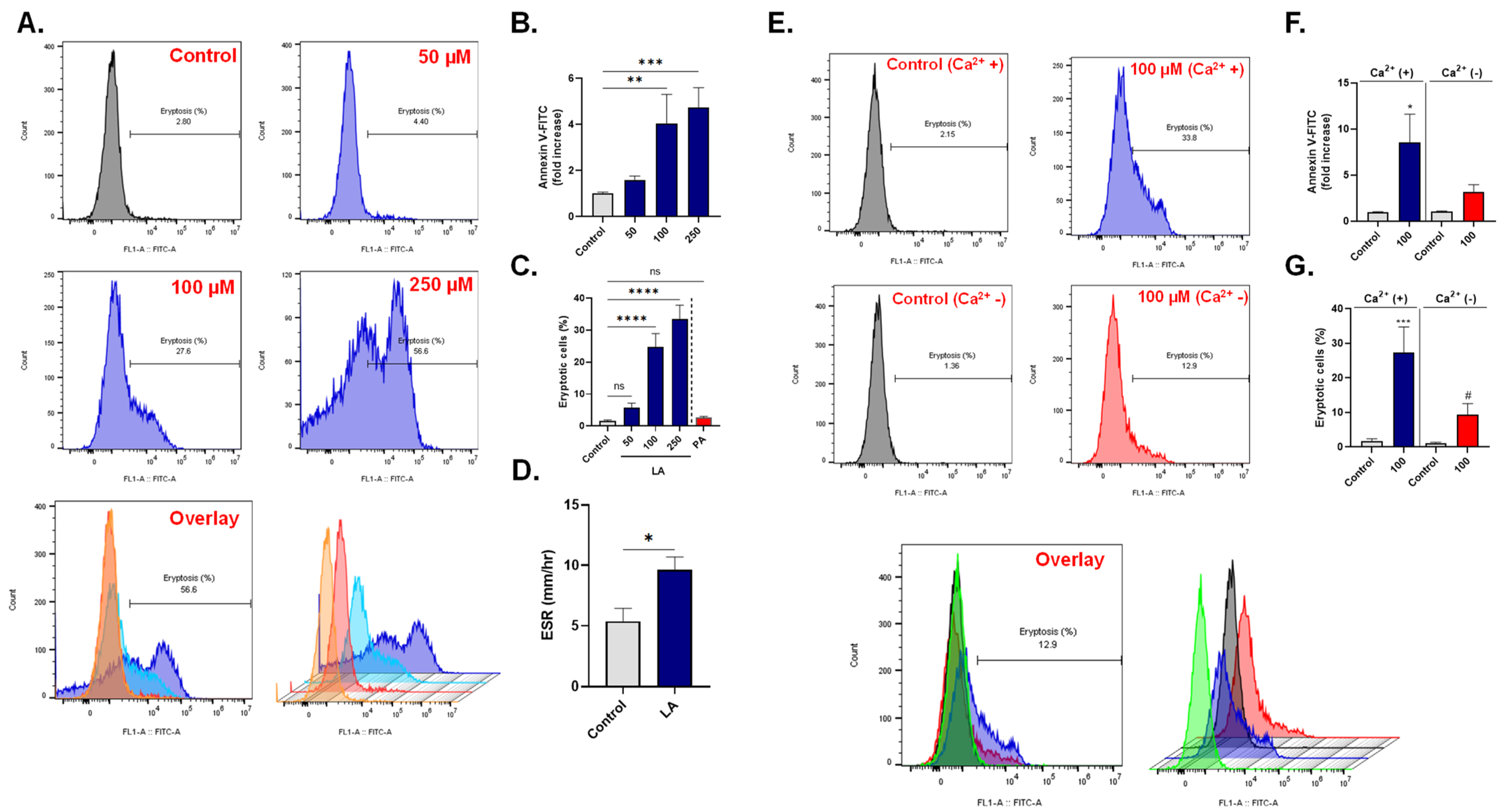 Cells 10 03388 g002 Cells 10 03388 g002