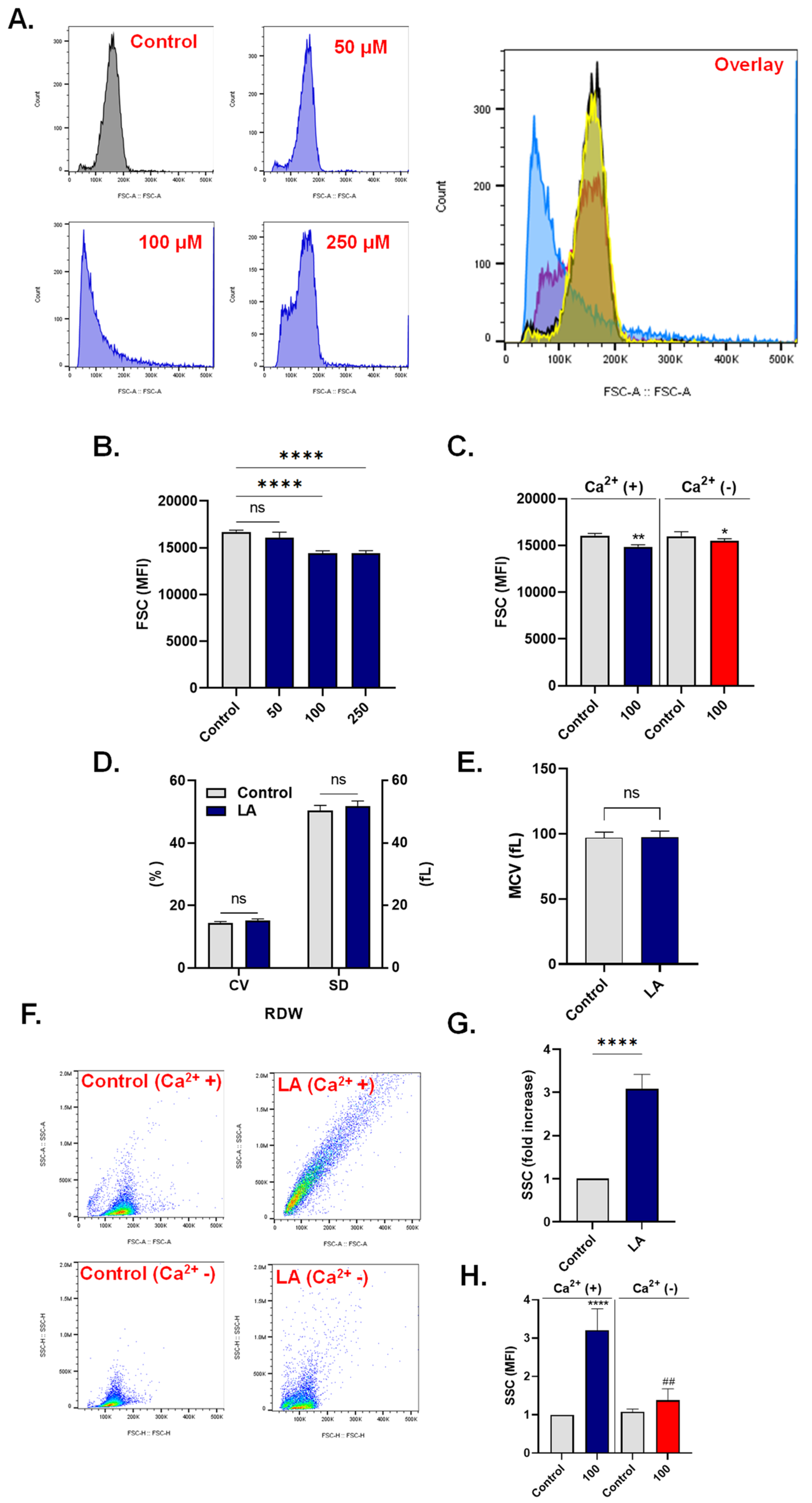 Cells 10 03388 g004 Cells 10 03388 g004