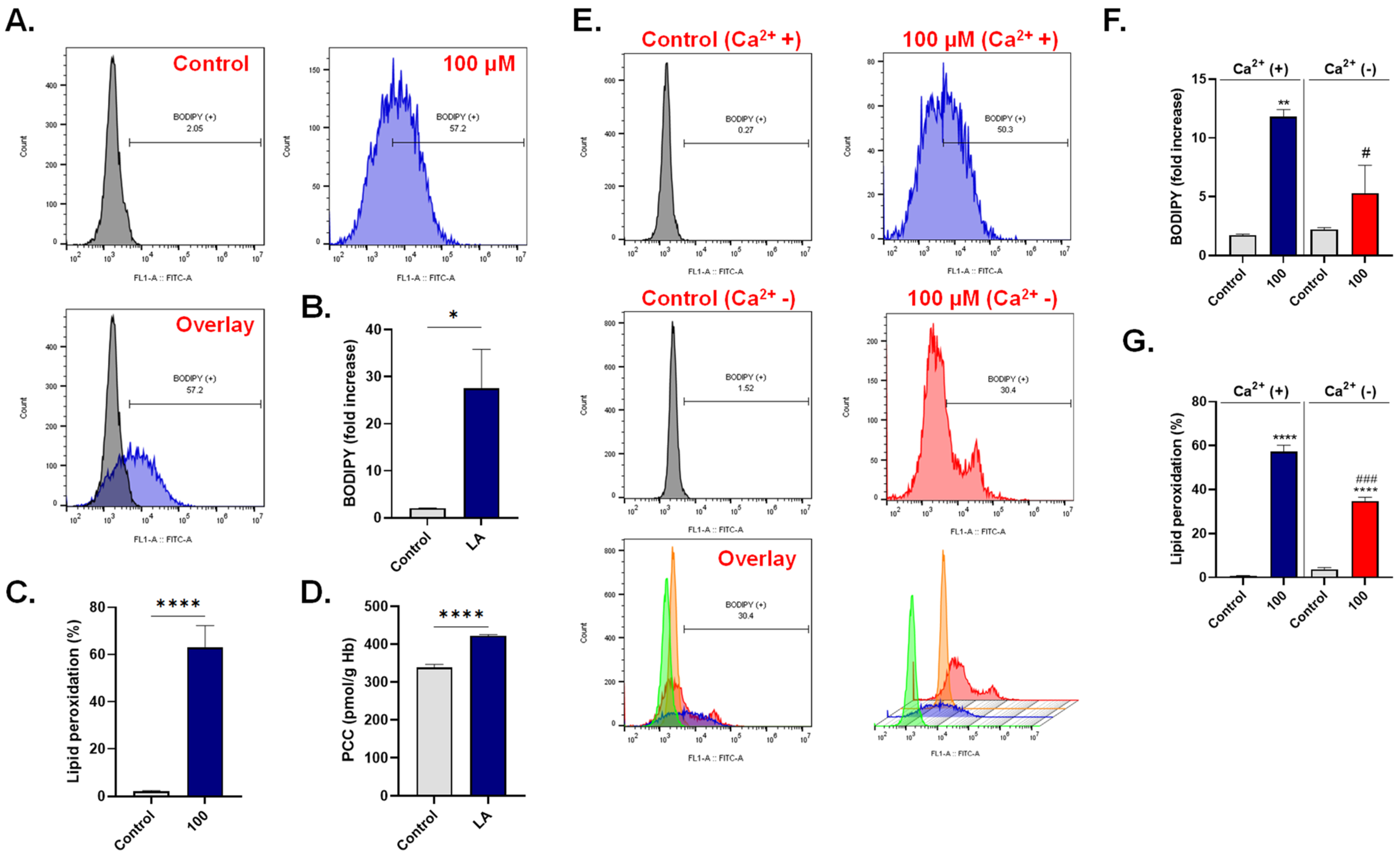 Cells 10 03388 g007 Cells 10 03388 g007