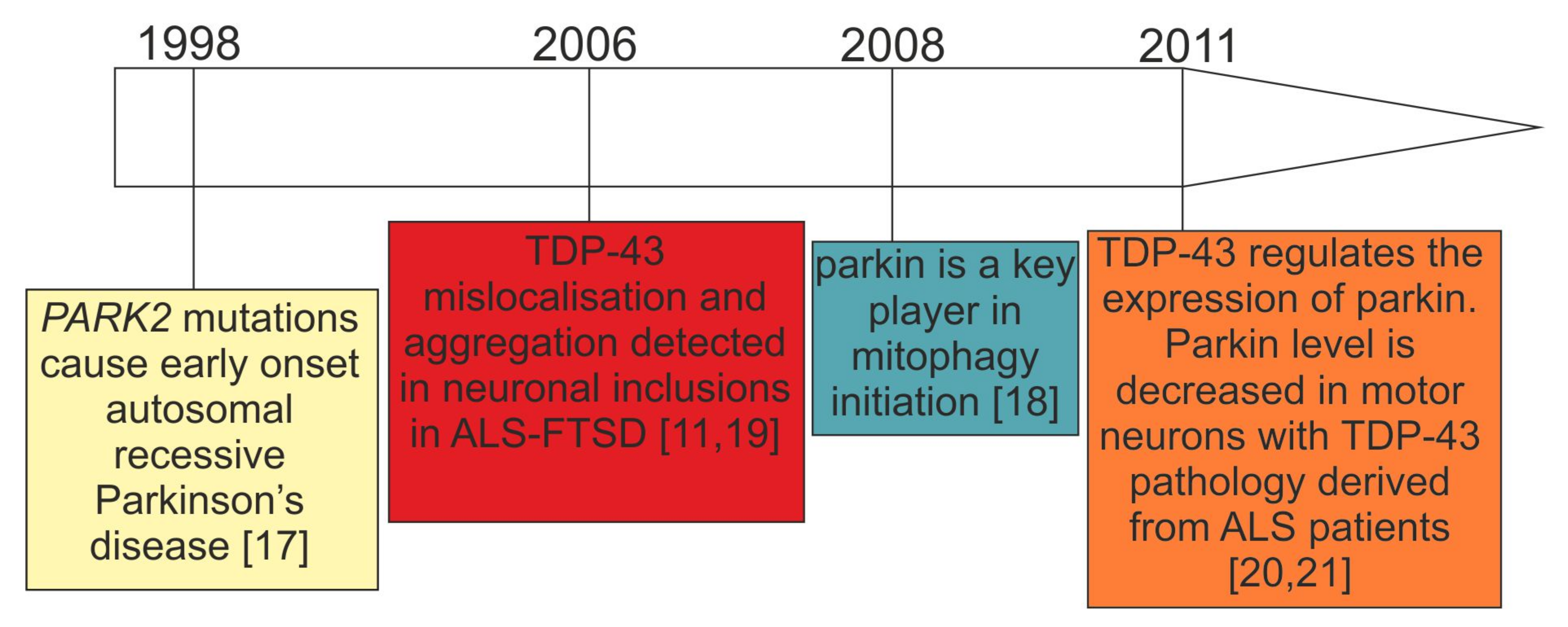 Cells 10 03389 g001 550
