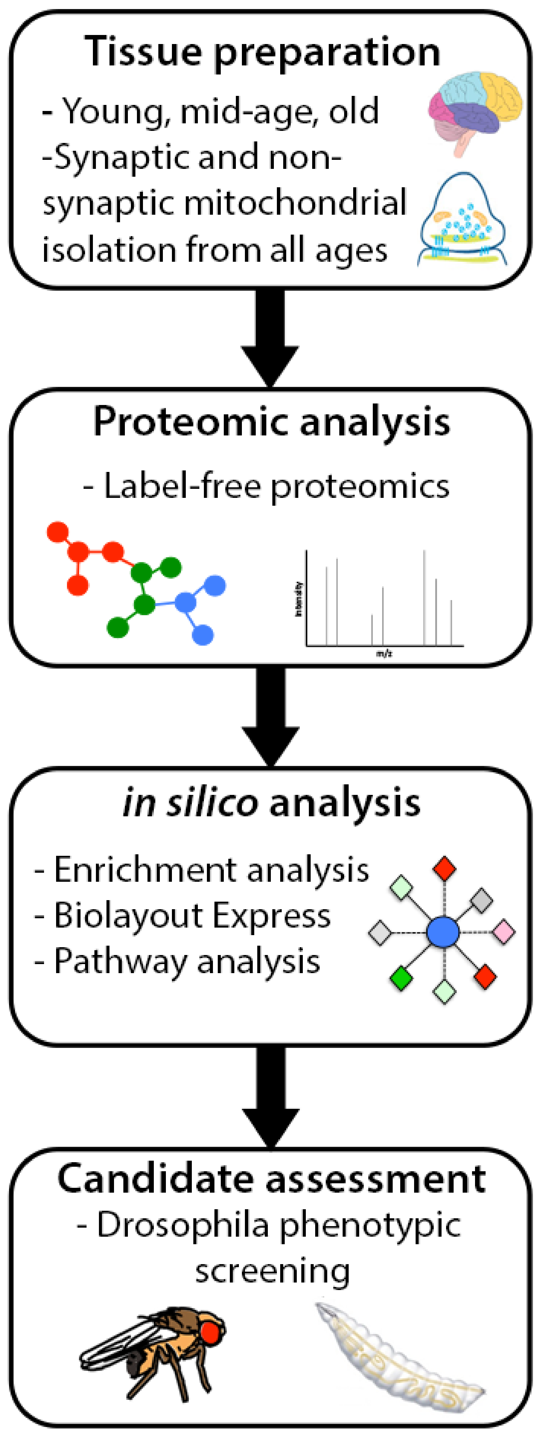 Cells 10 03403 g001 Cells 10 03403 g001