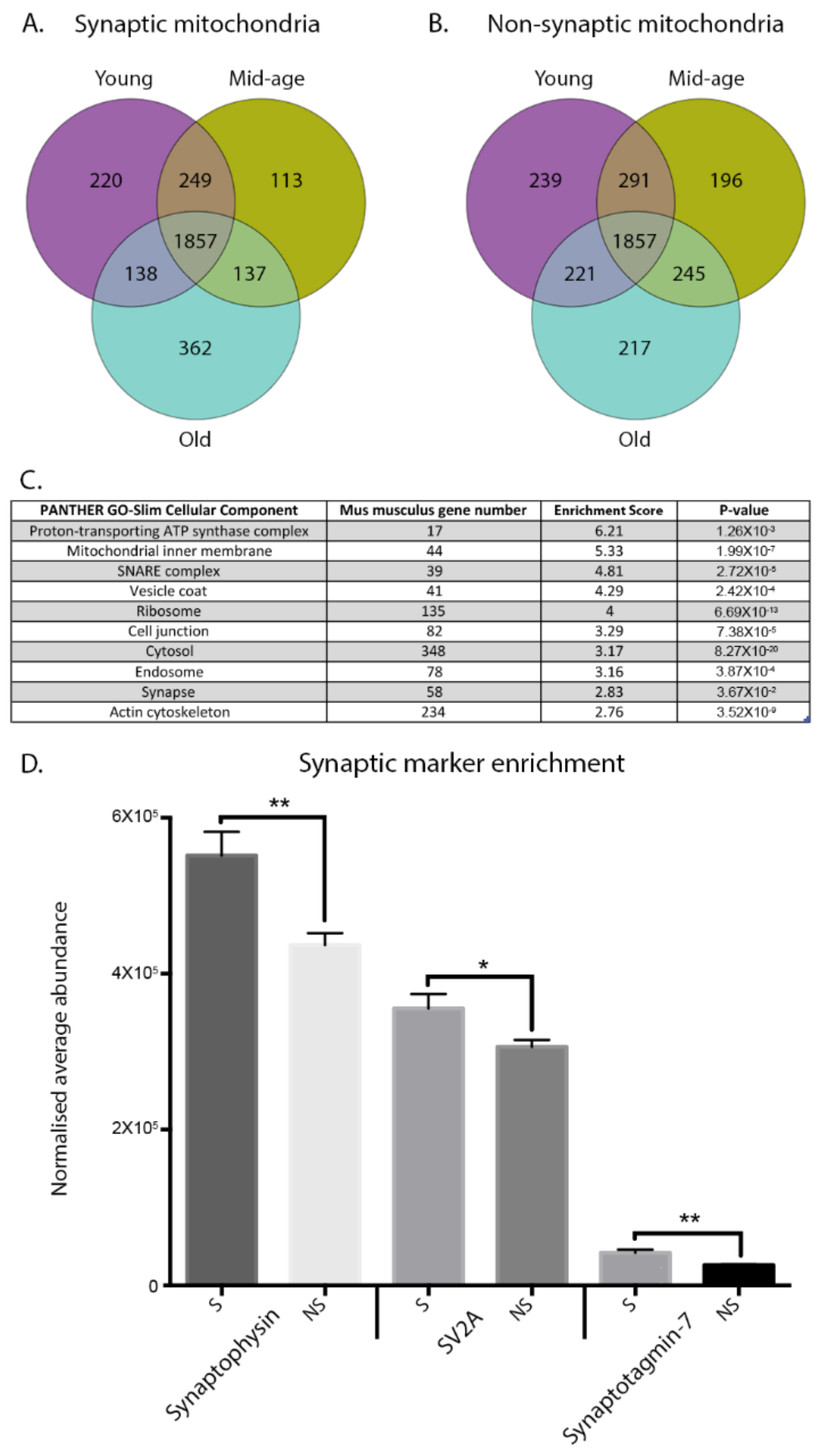 Cells 10 03403 g002 Cells 10 03403 g002
