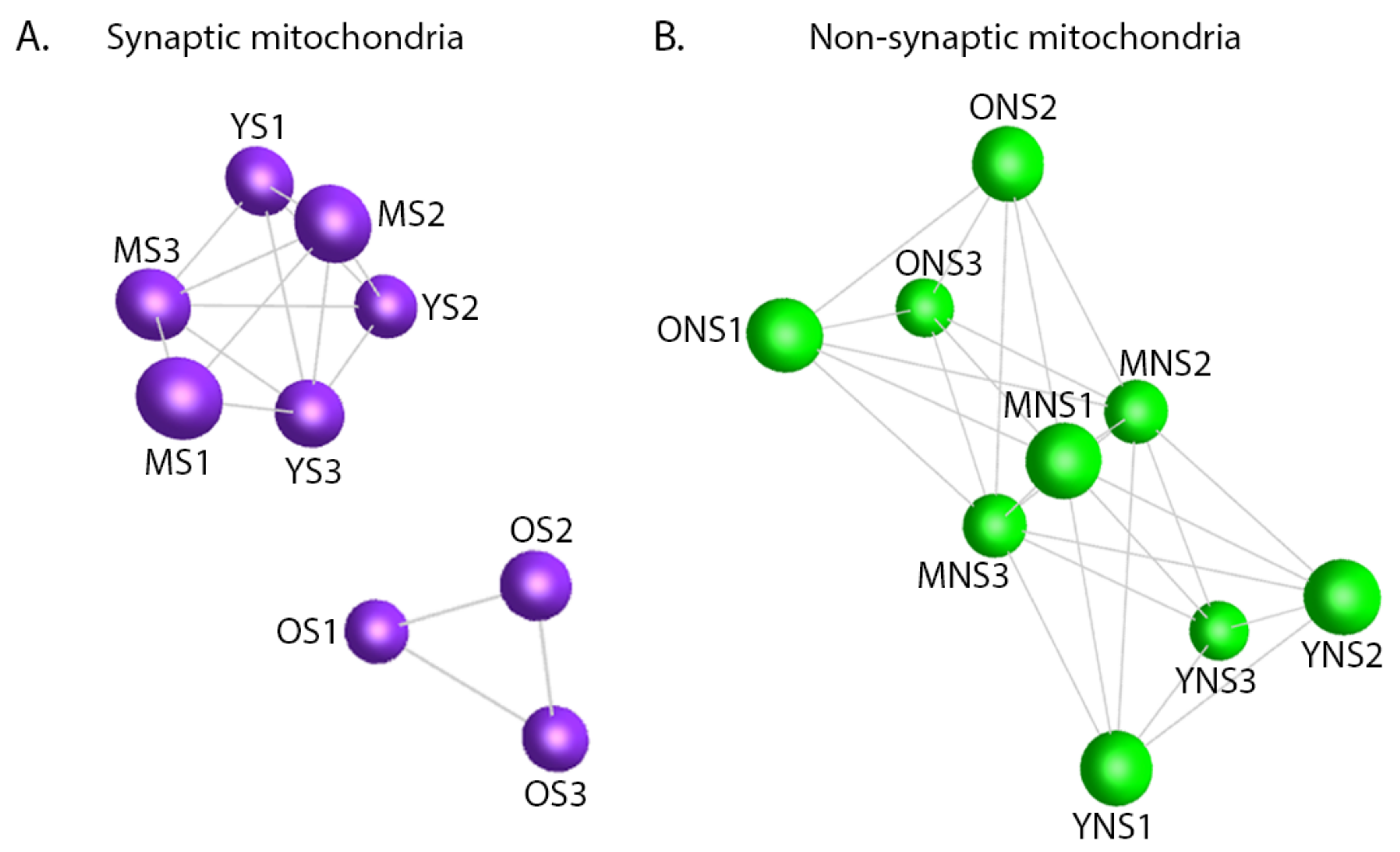 Cells 10 03403 g003 Cells 10 03403 g003