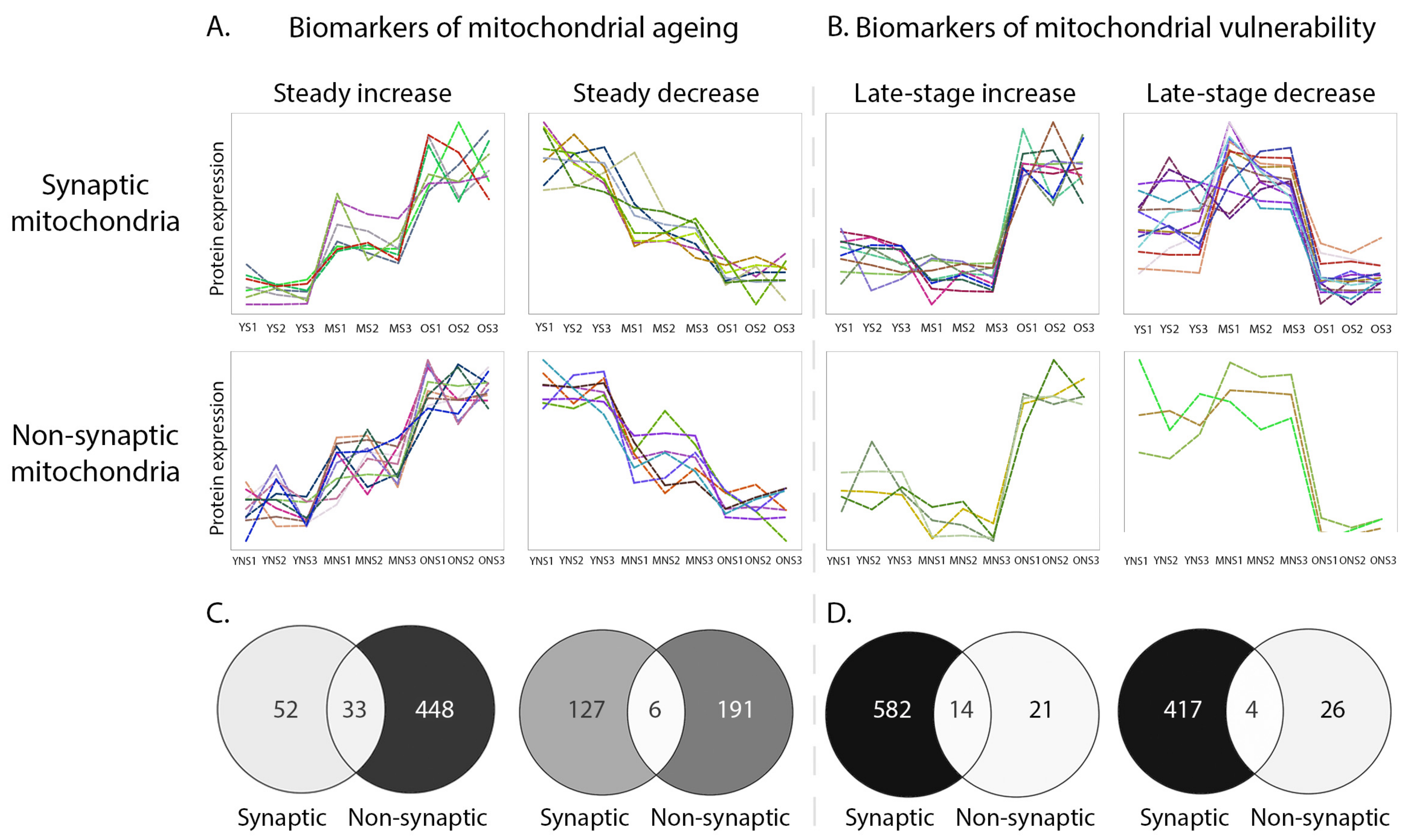 Cells 10 03403 g005 Cells 10 03403 g005