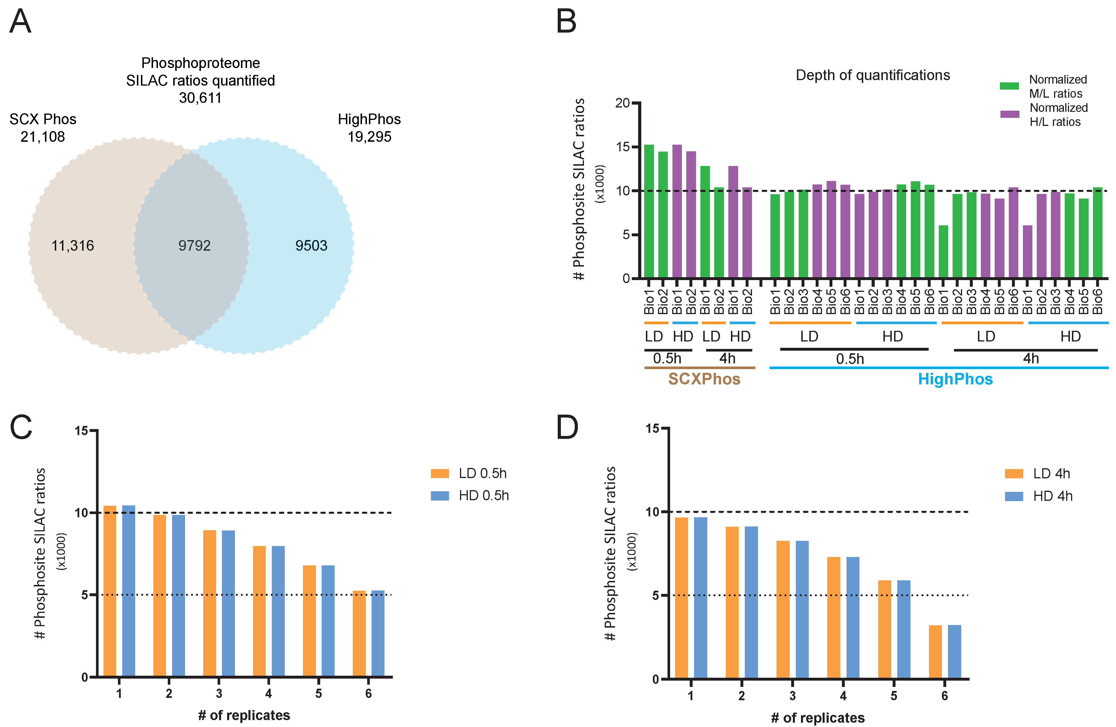 Cells 10 03407 g001a 550