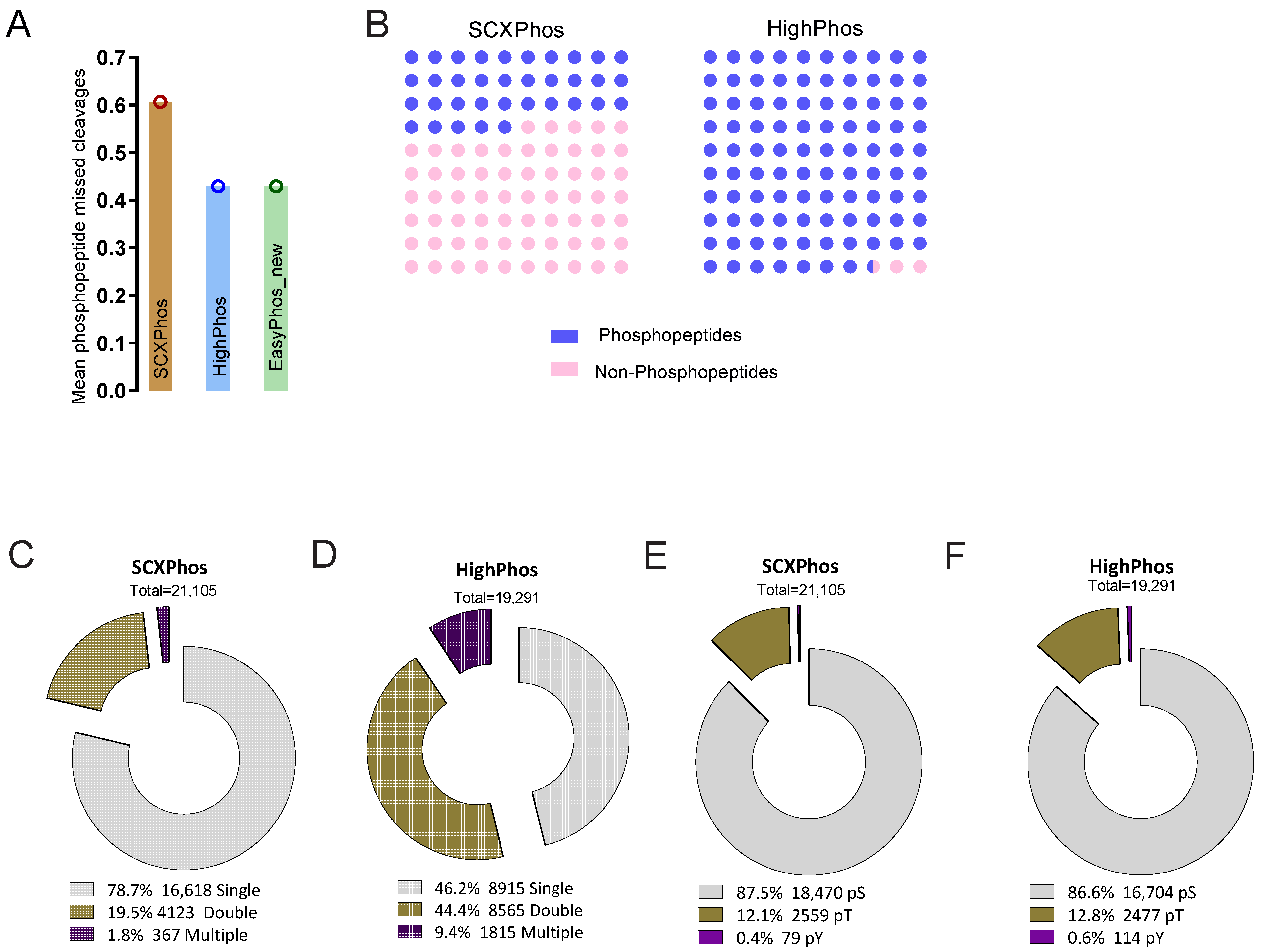 Cells 10 03407 g002 550