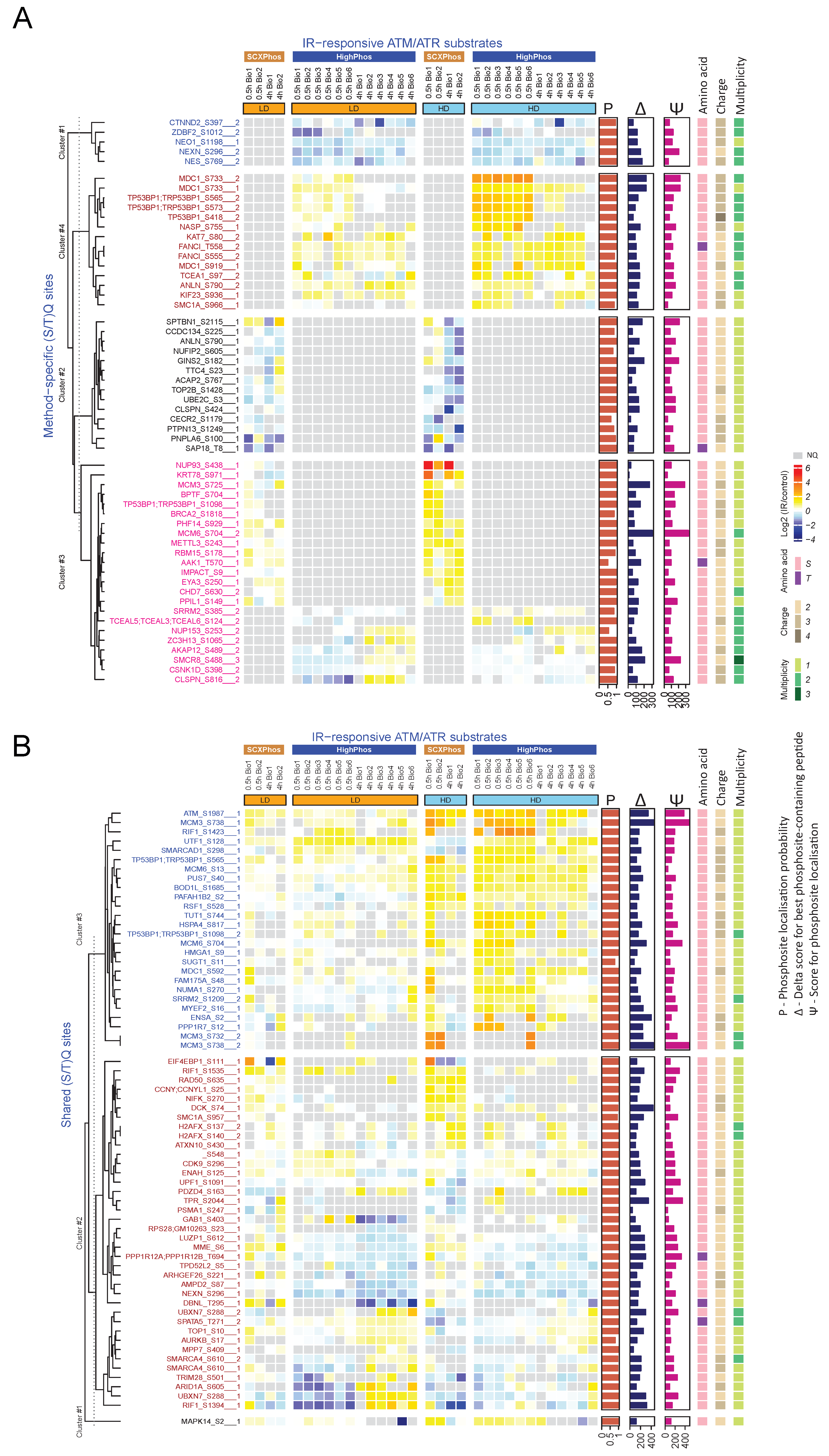 Cells 10 03407 g005 550