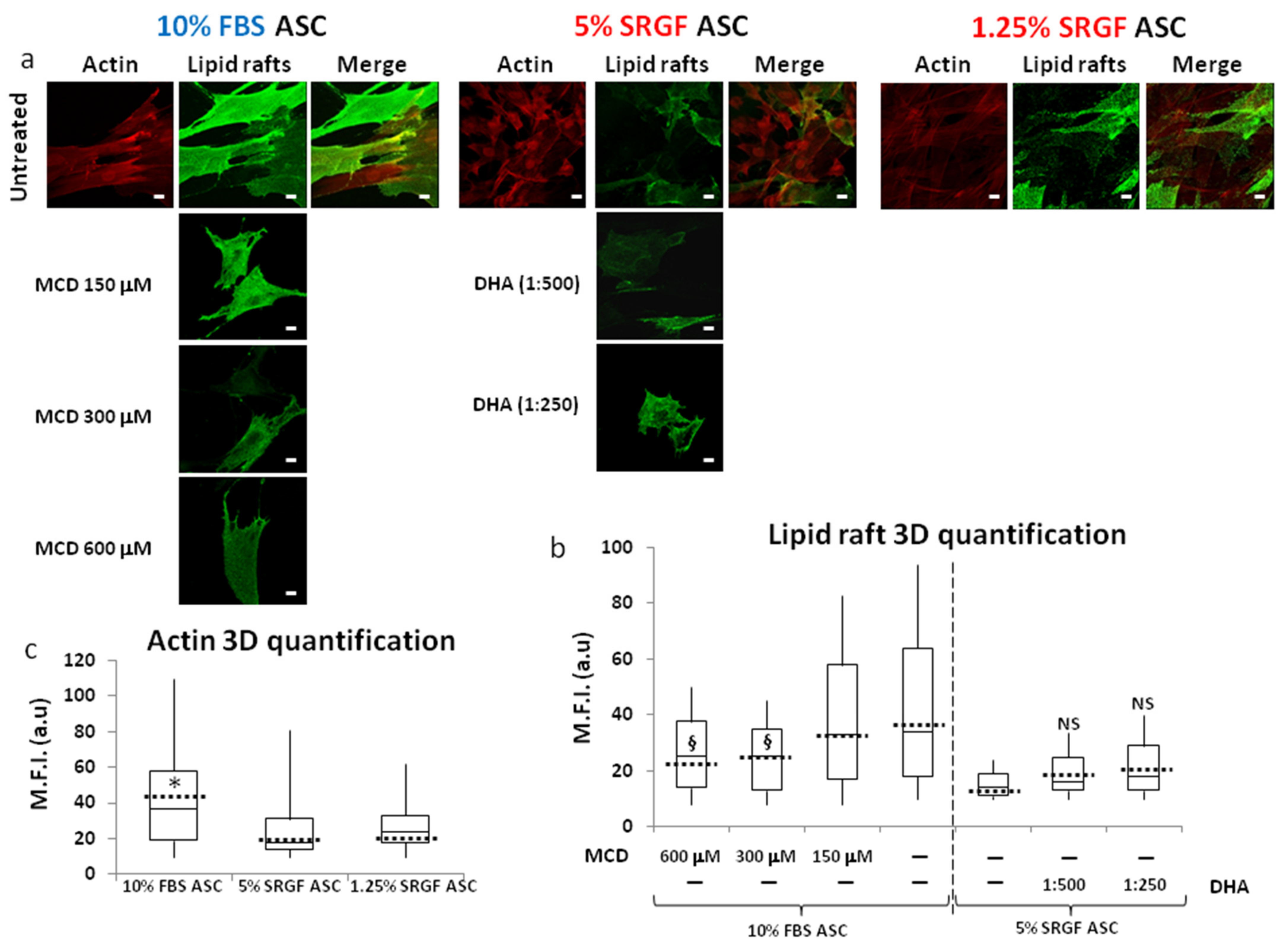 Cells 10 03412 g007 550
