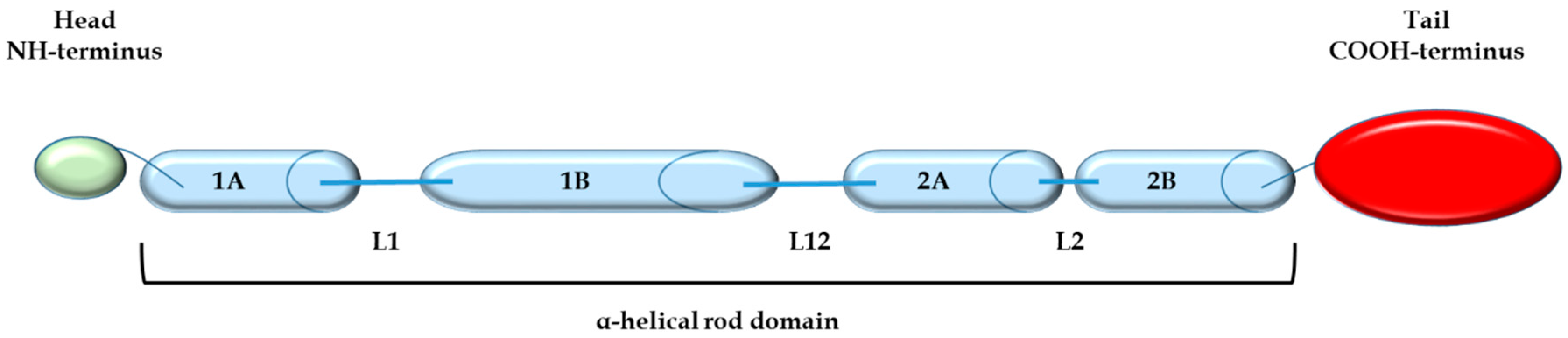 Cells 10 03413 g001 Cells 10 03413 g001