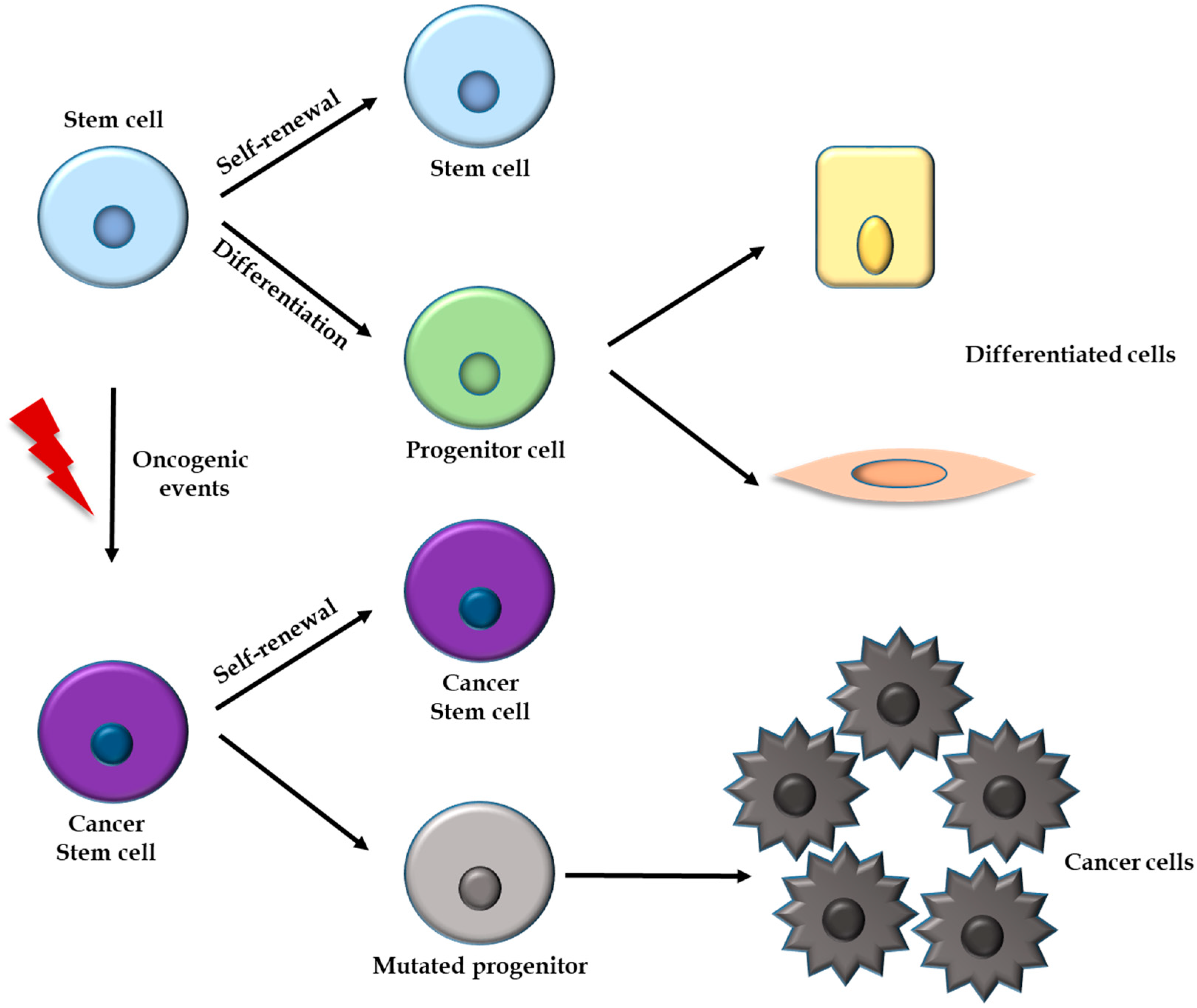 Cells 10 03413 g002 Cells 10 03413 g002