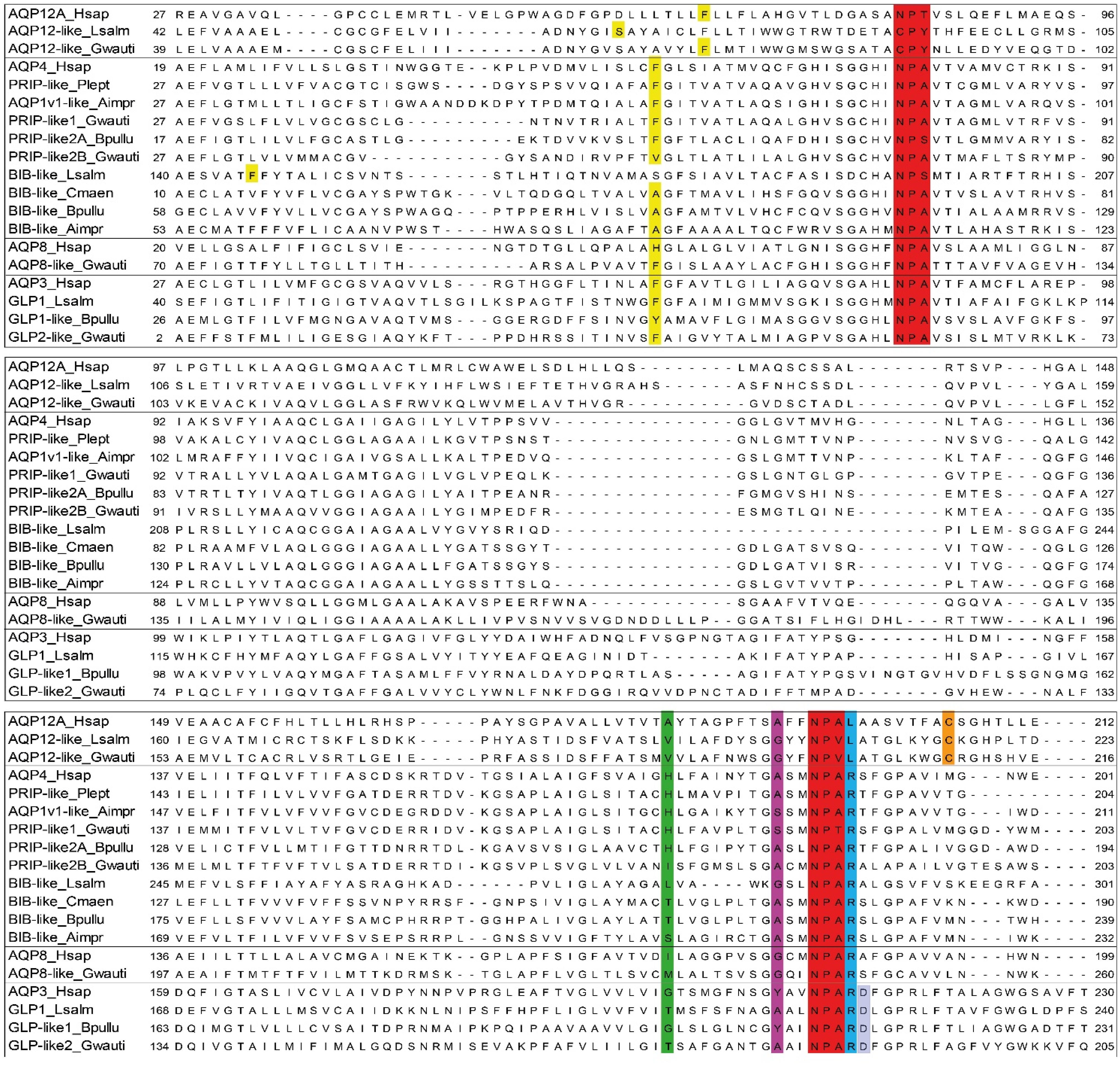 Cells 10 03417 g003 550