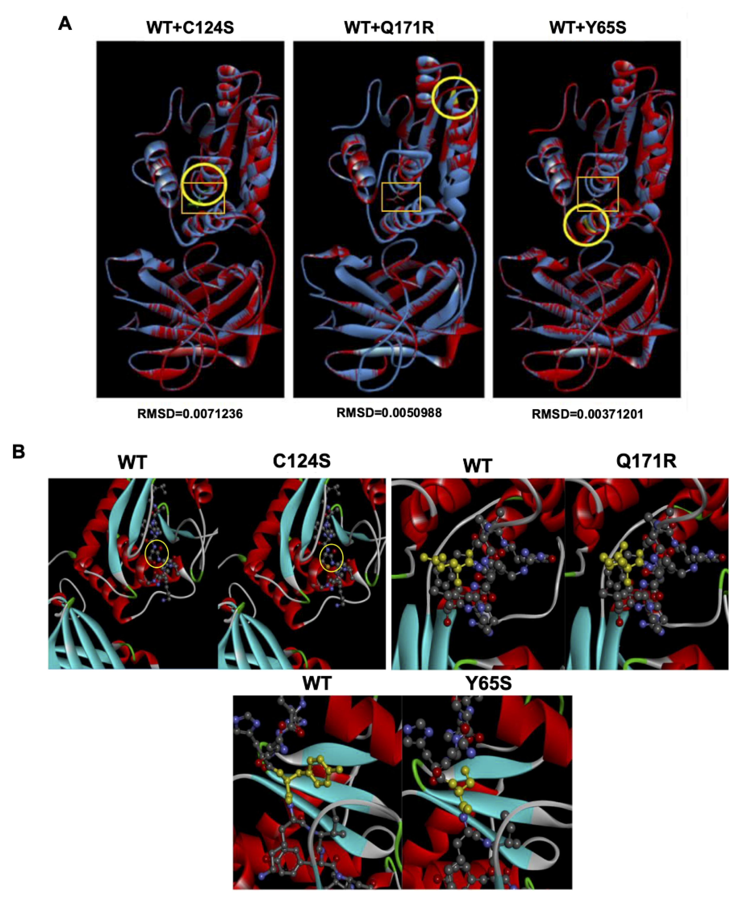 Cells 10 03423 g007 Cells 10 03423 g007