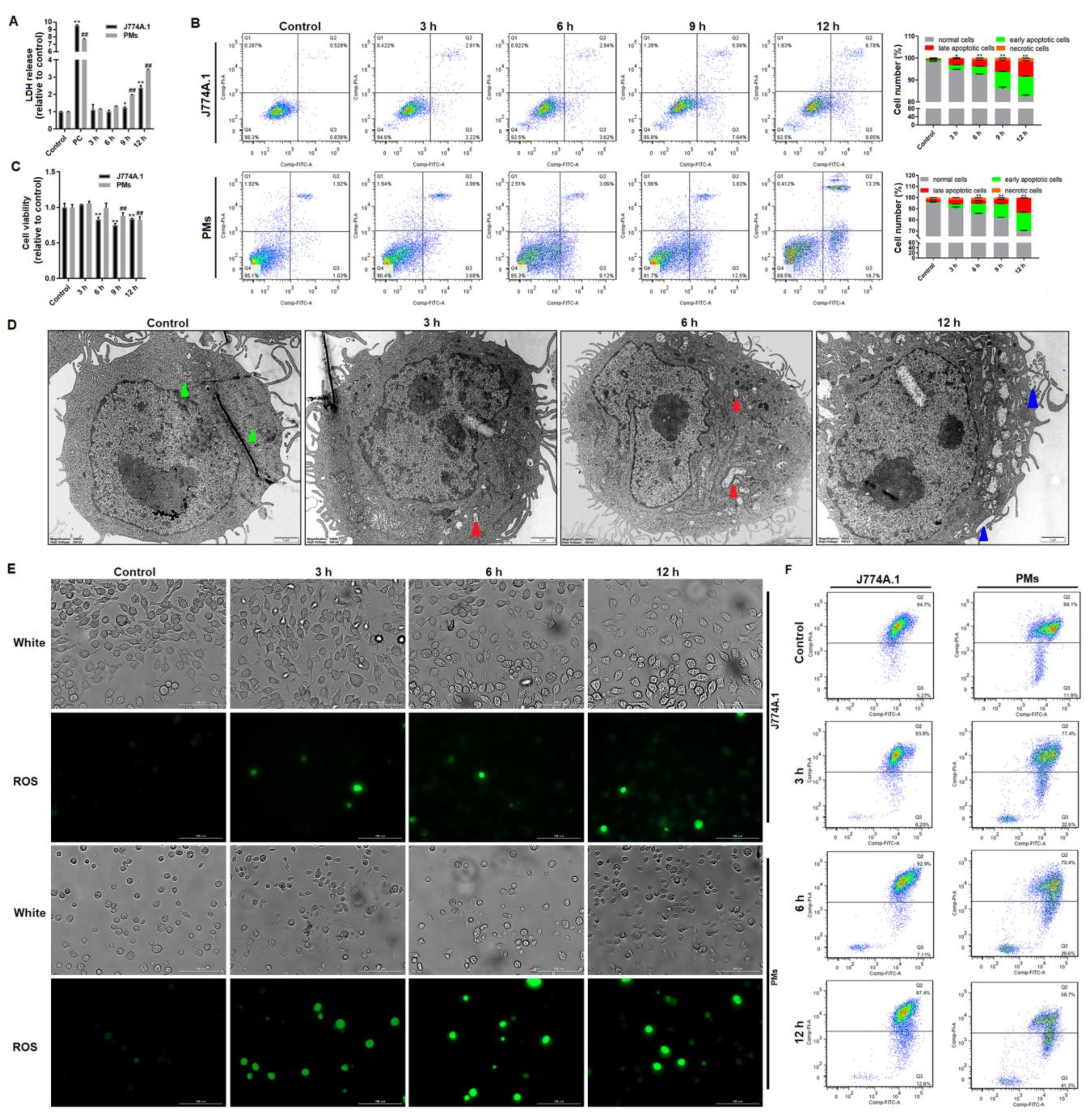 Cells 10 03425 g001 550