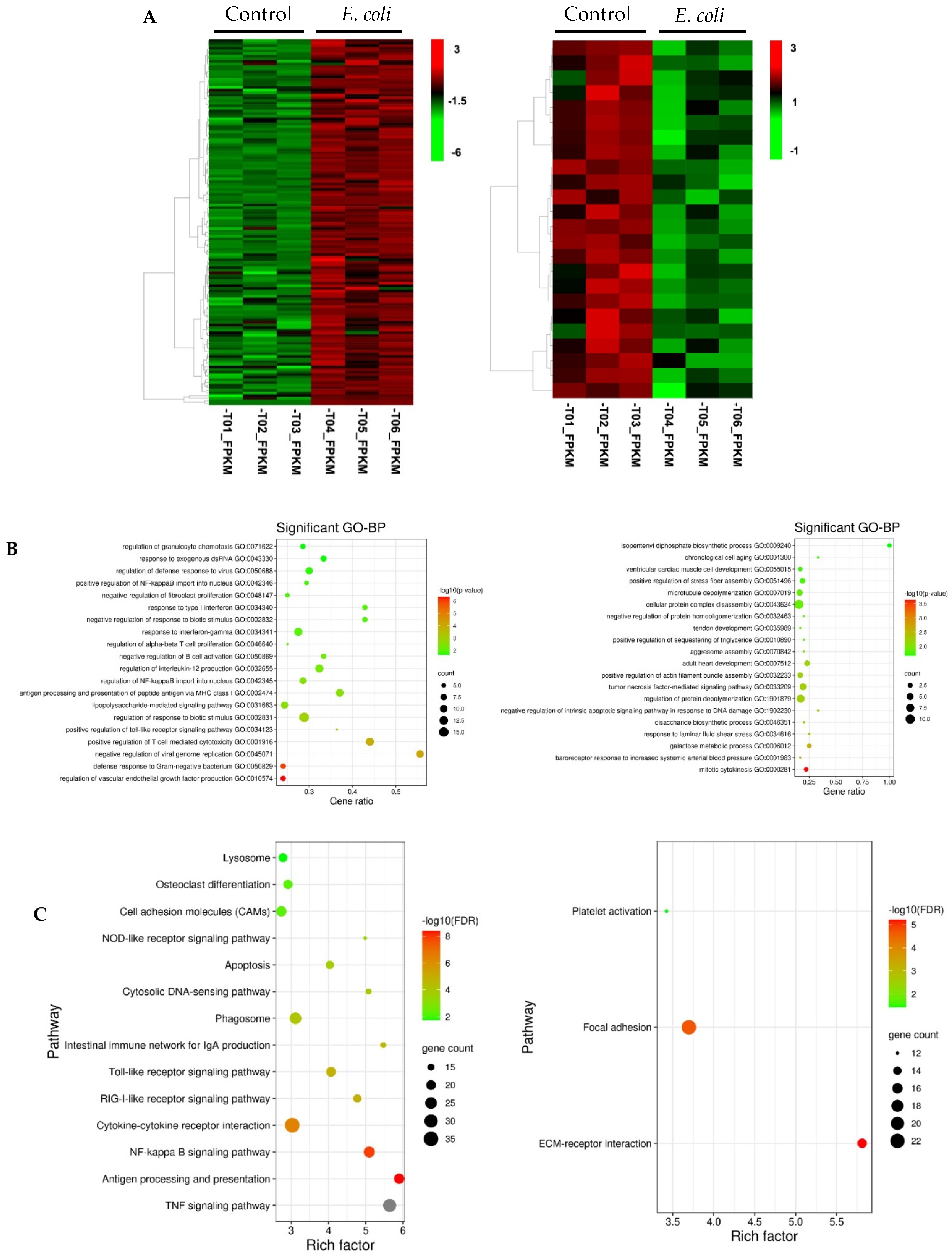Cells 10 03426 g002 Cells 10 03426 g002