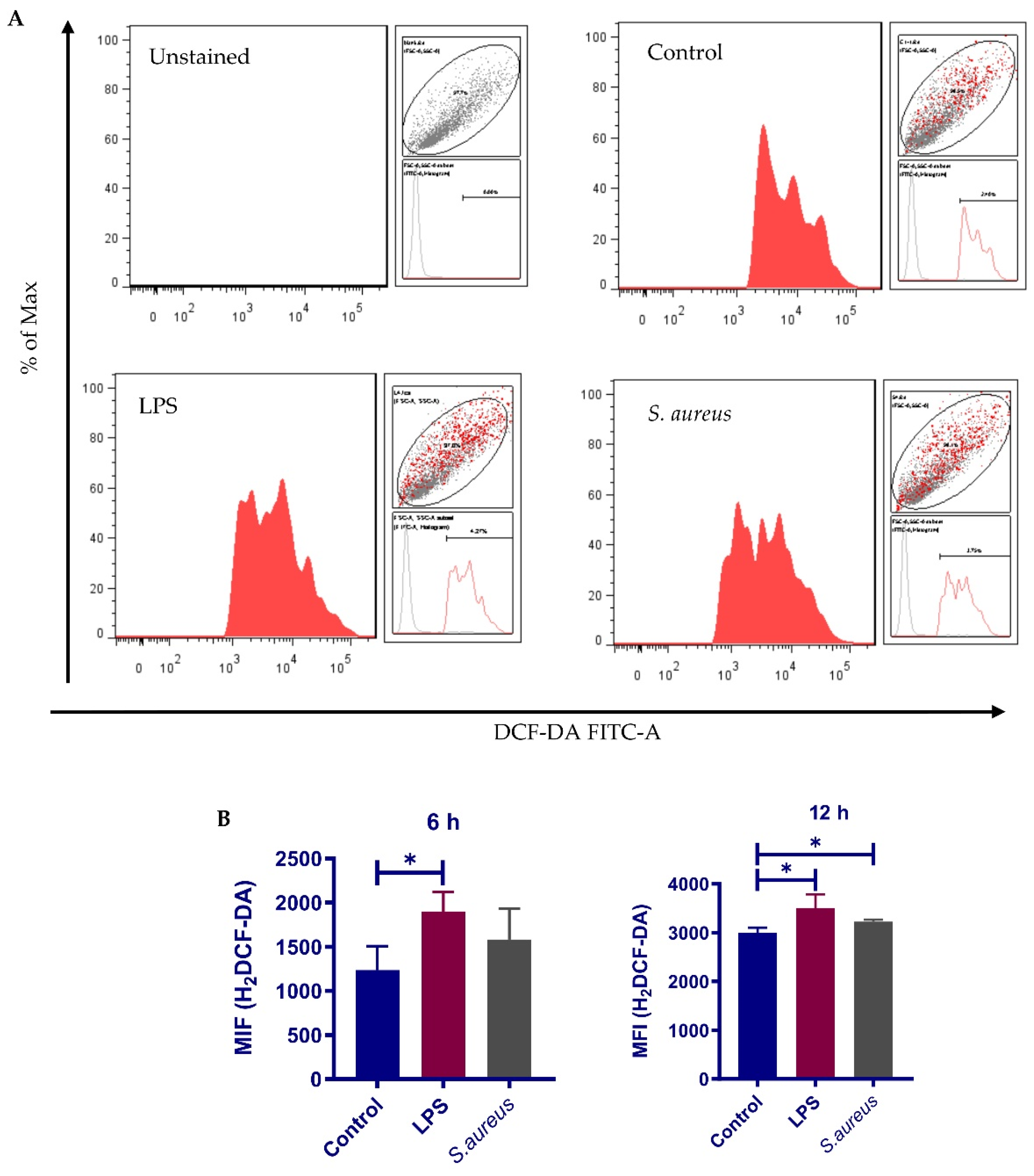 Cells 10 03426 g008 Cells 10 03426 g008