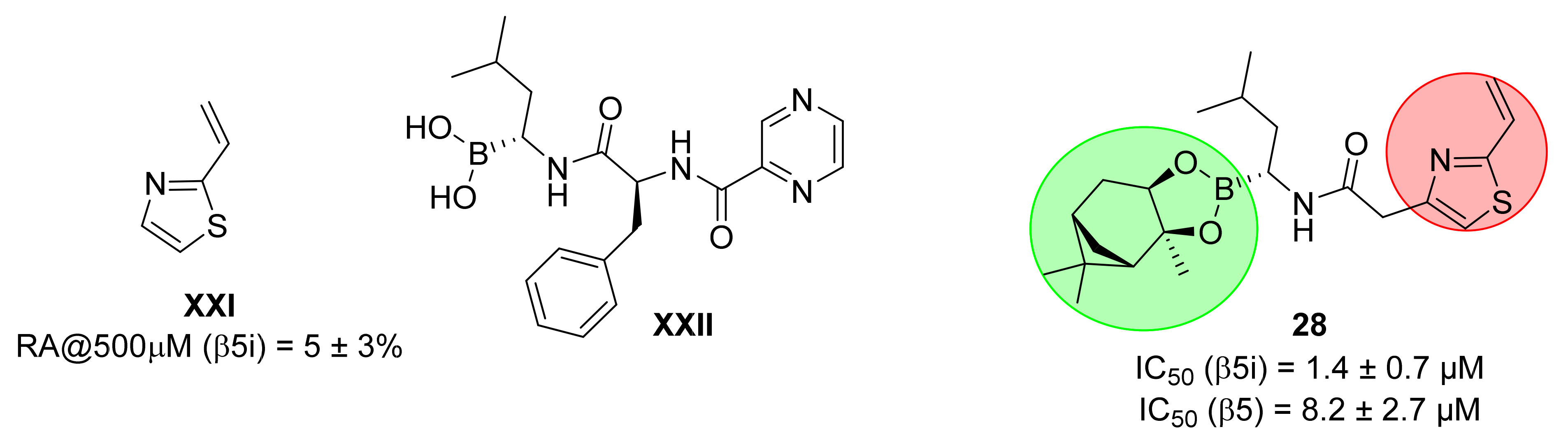 Cells 10 03431 g004 550