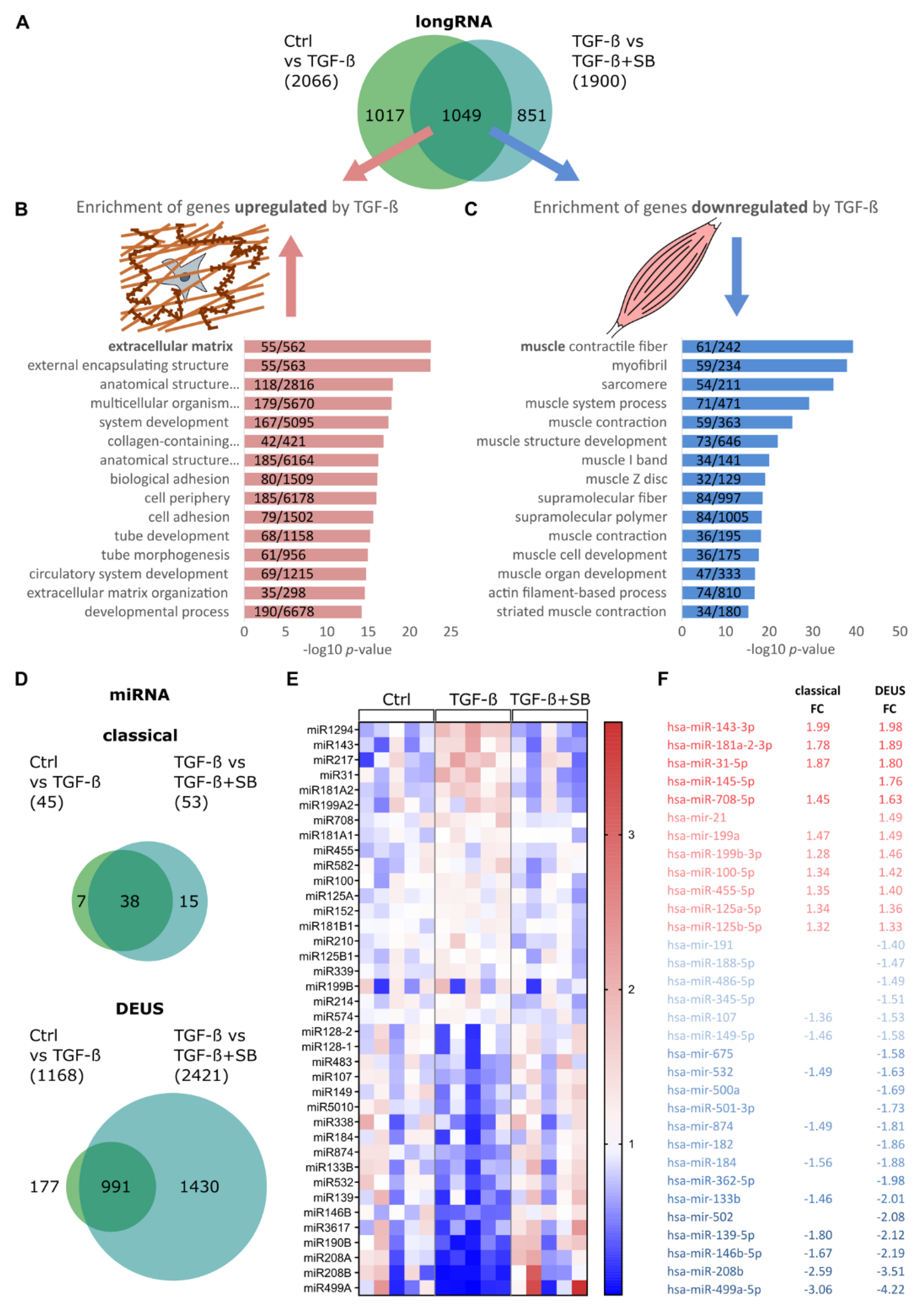 Cells 10 03443 g001 550