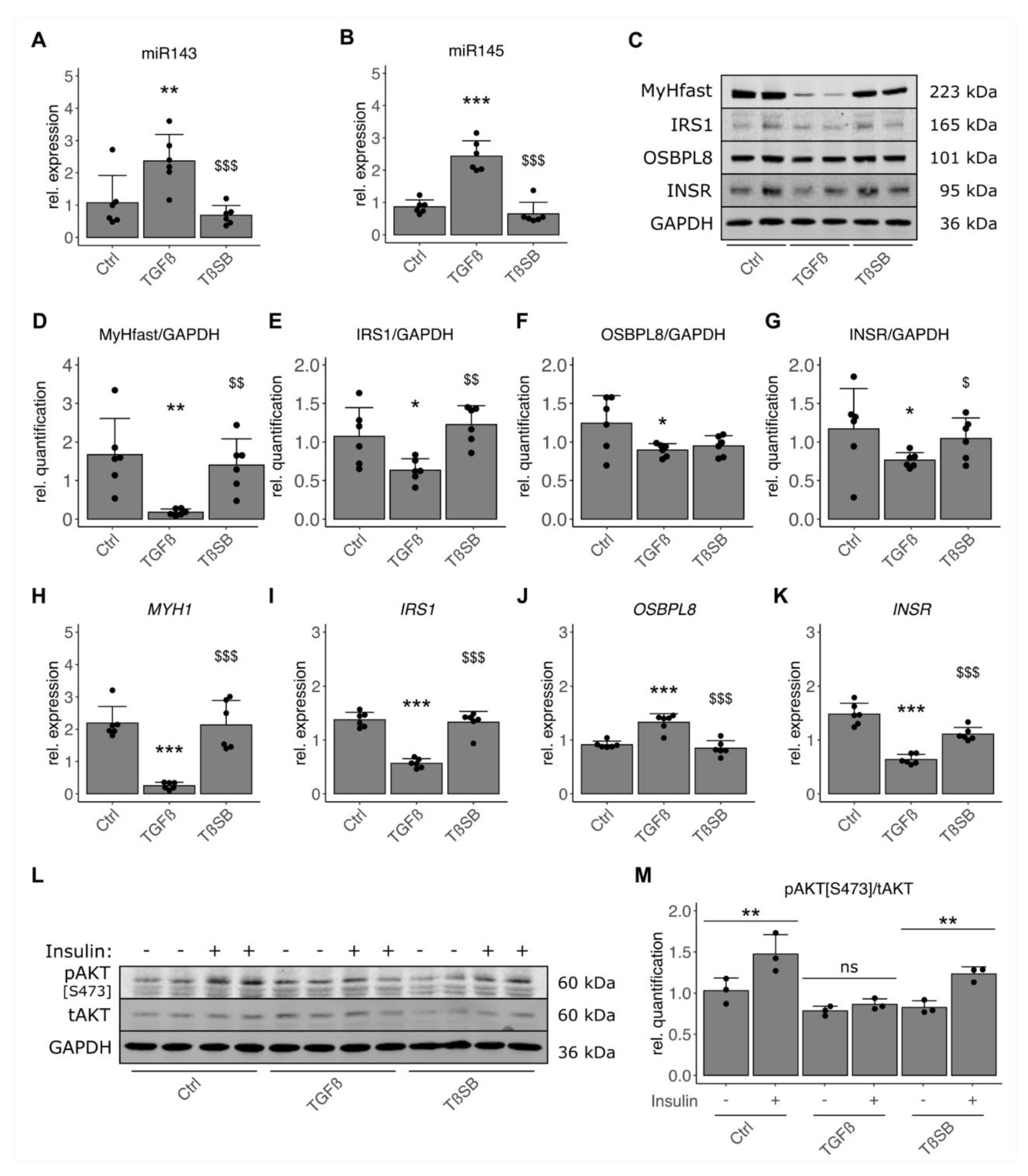 Cells 10 03443 g005 550