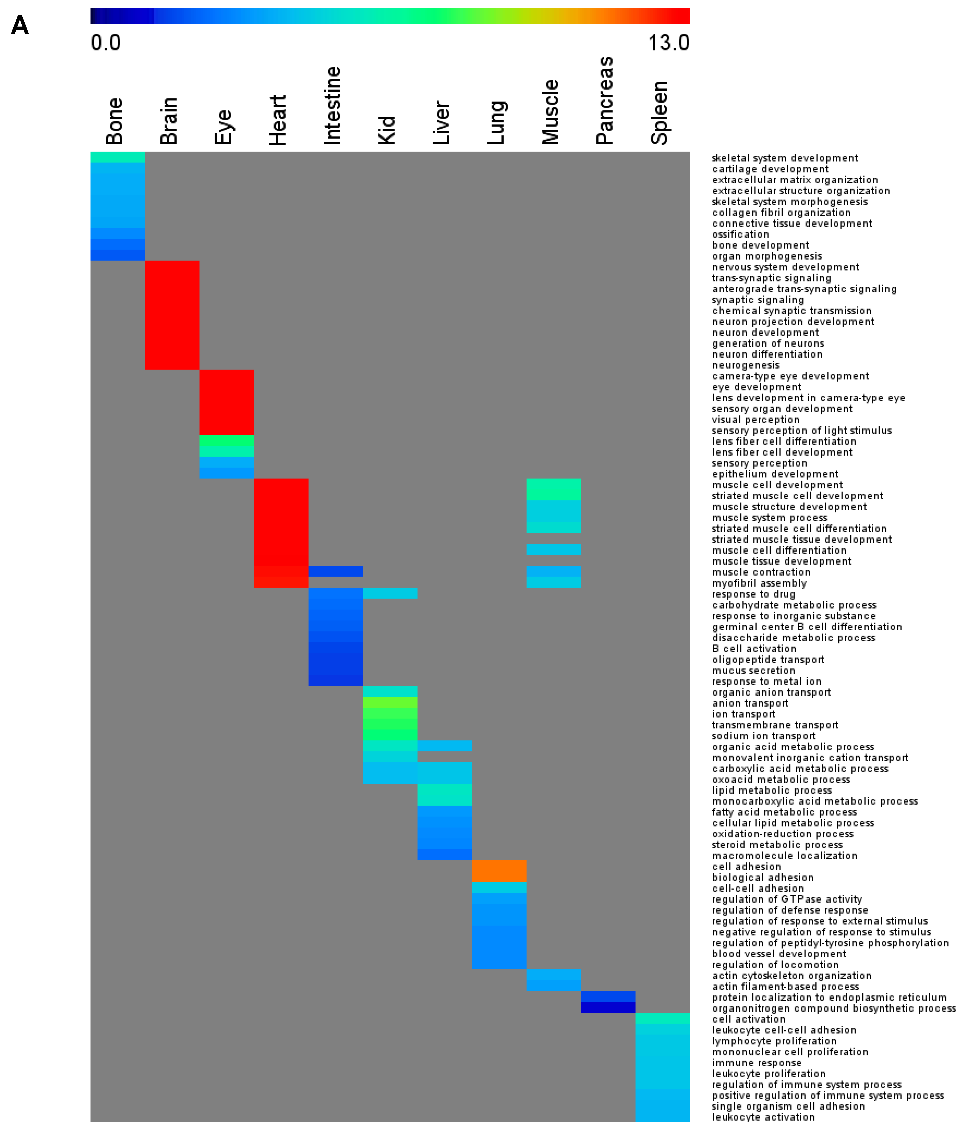 Cells 10 03449 g002a 550