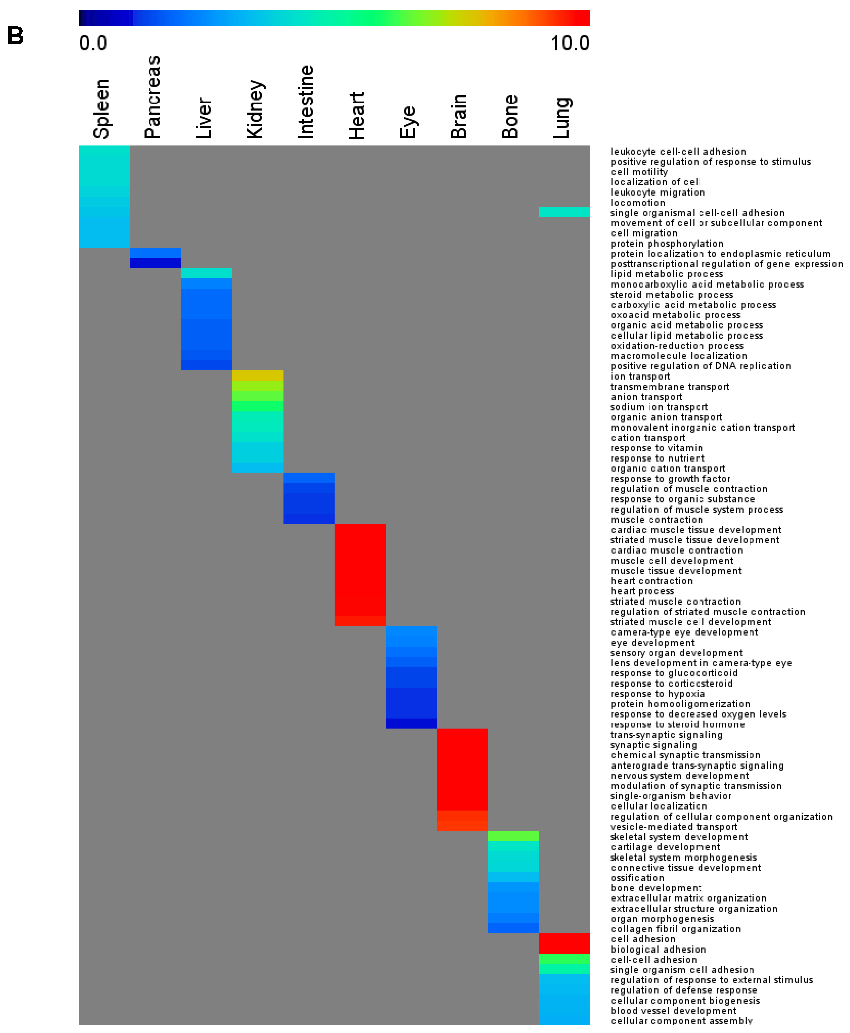 Cells 10 03449 g002b 550