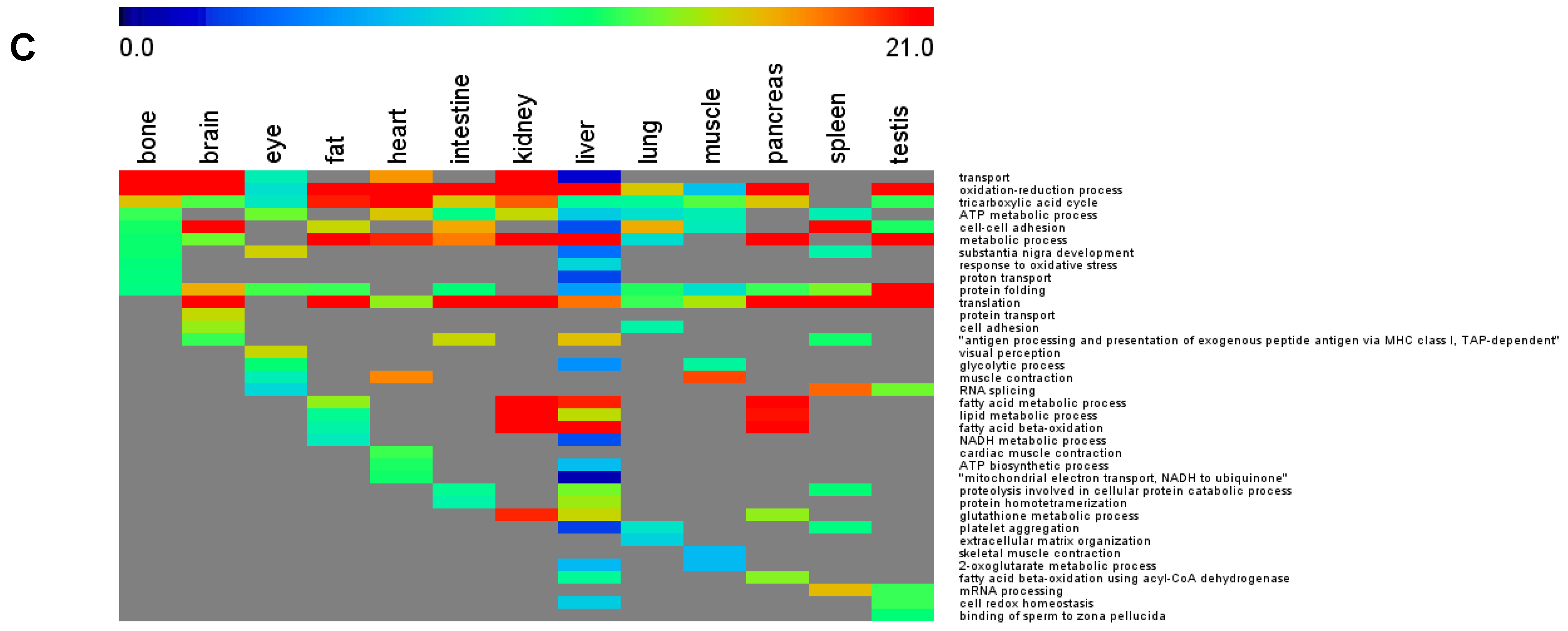 Cells 10 03449 g002c 550