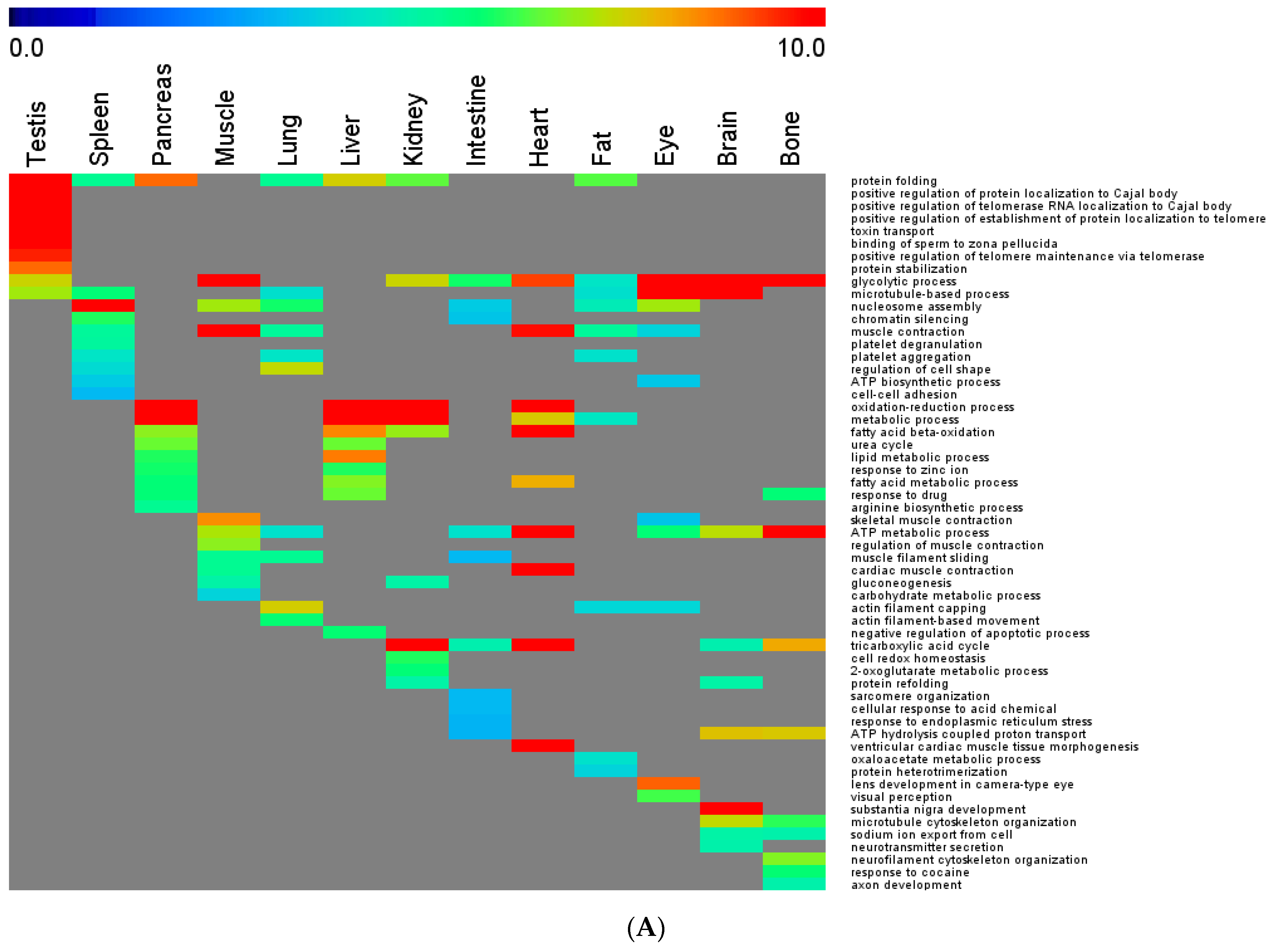 Cells 10 03449 g004a 550