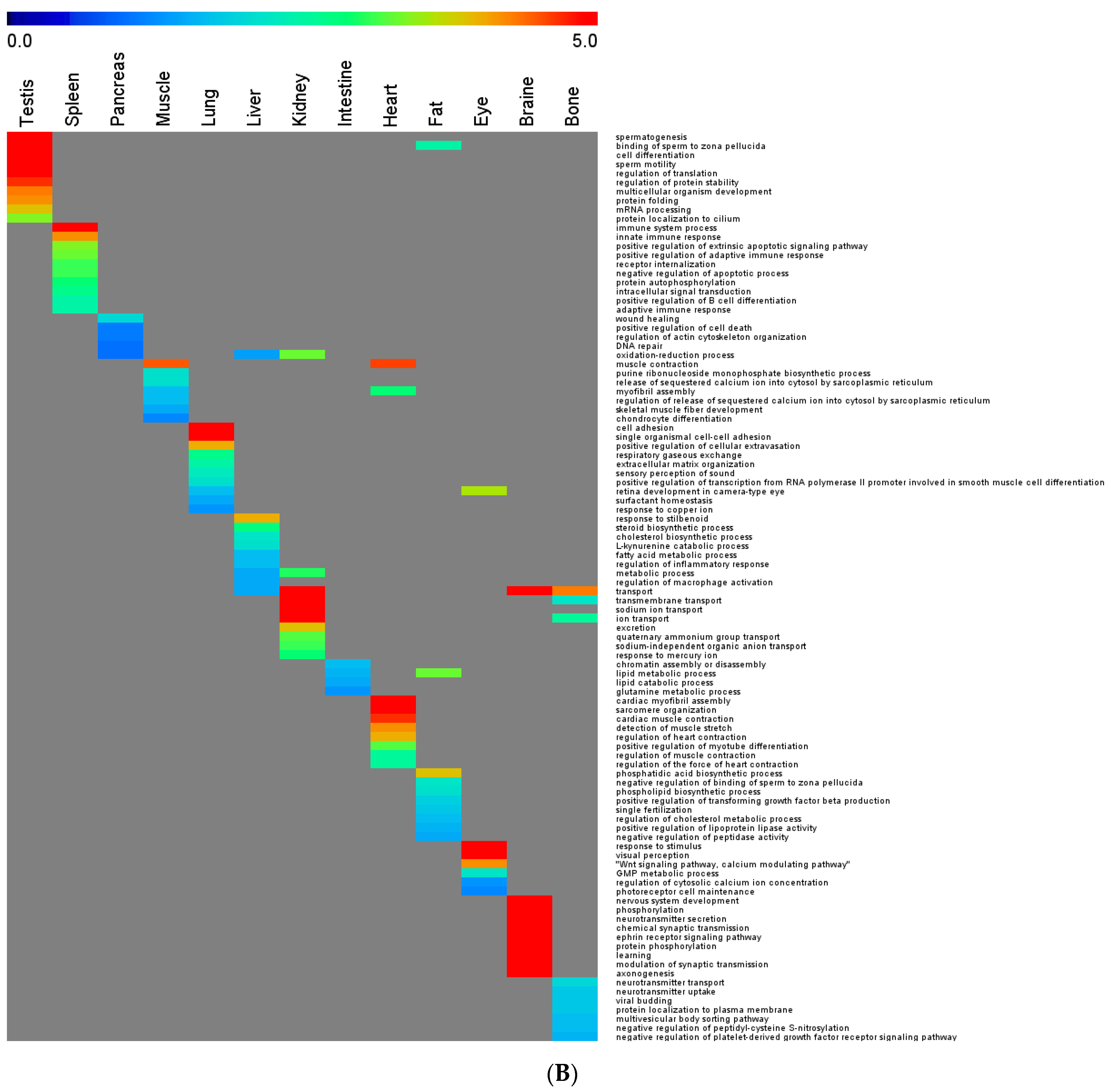 Cells 10 03449 g004b 550