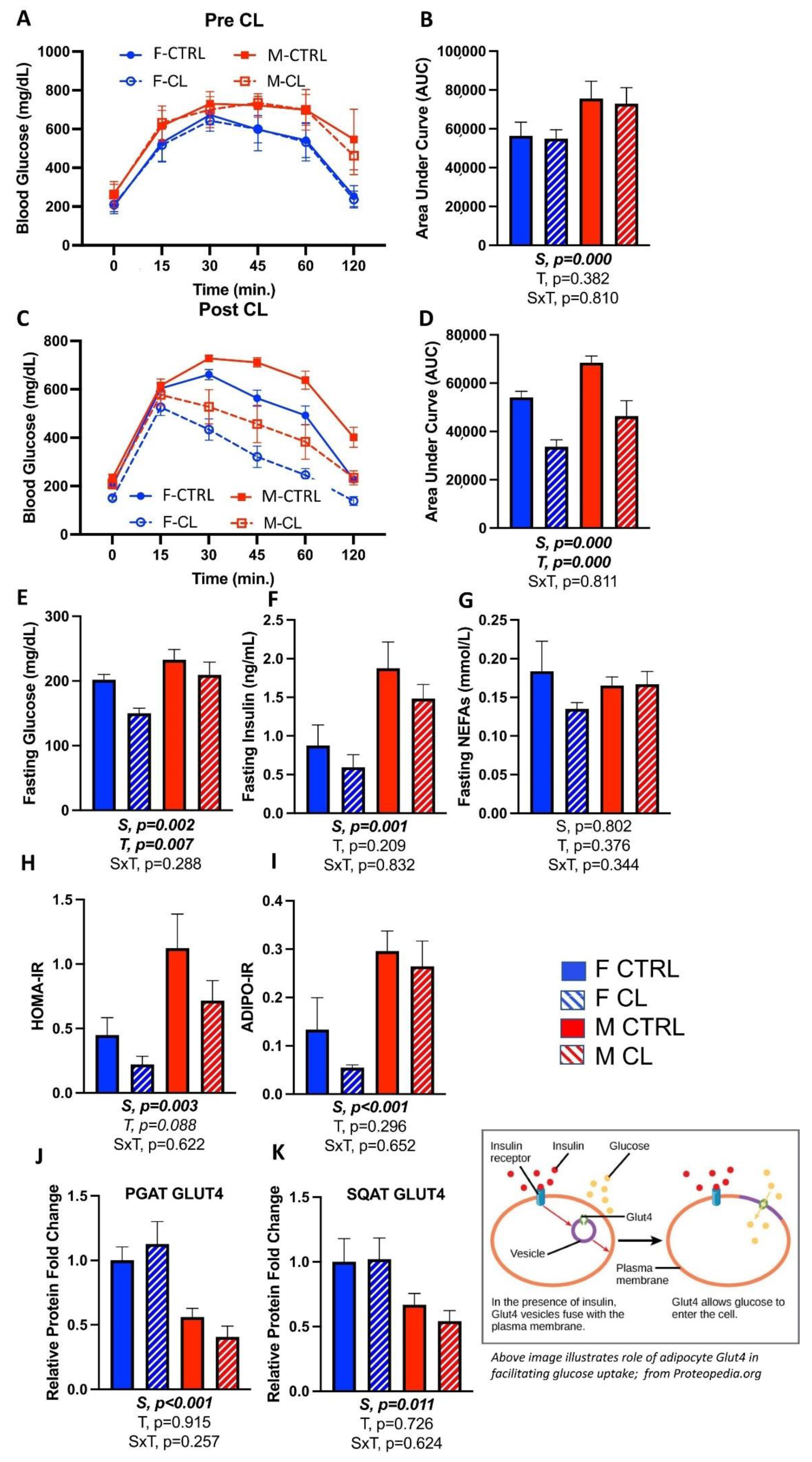 Cells 10 03453 g004 550