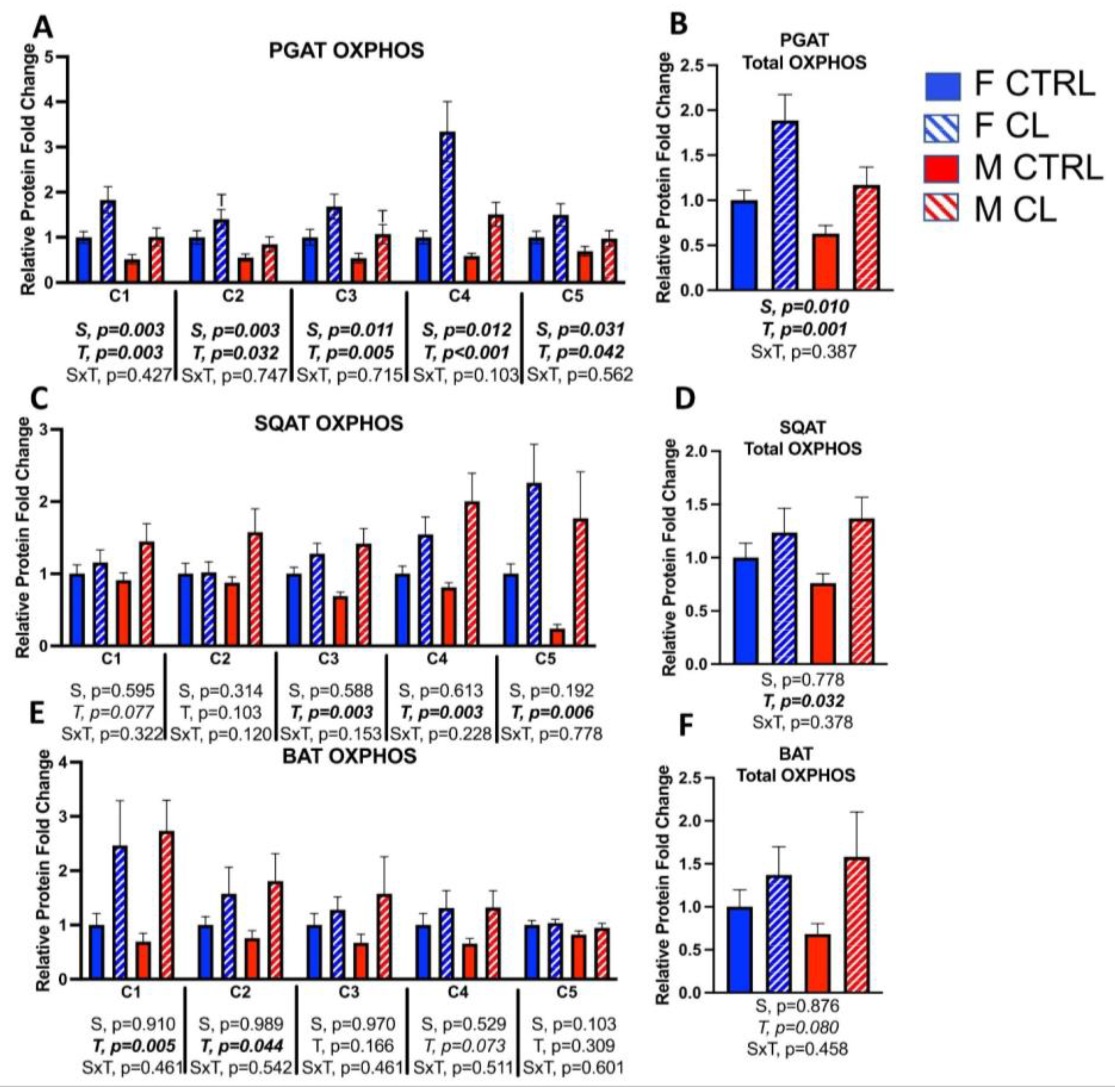 Cells 10 03453 g005 550