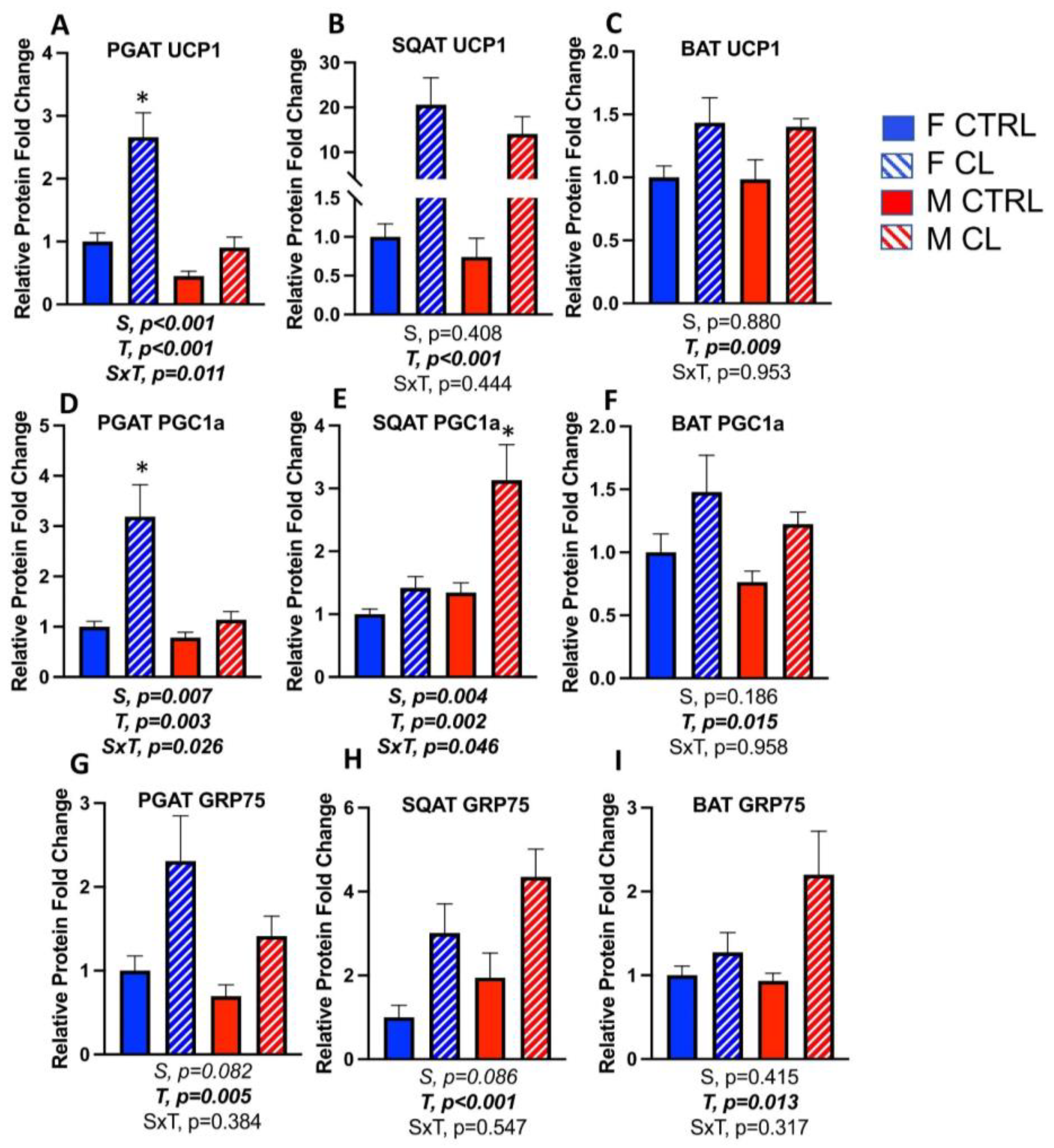 Cells 10 03453 g006 550