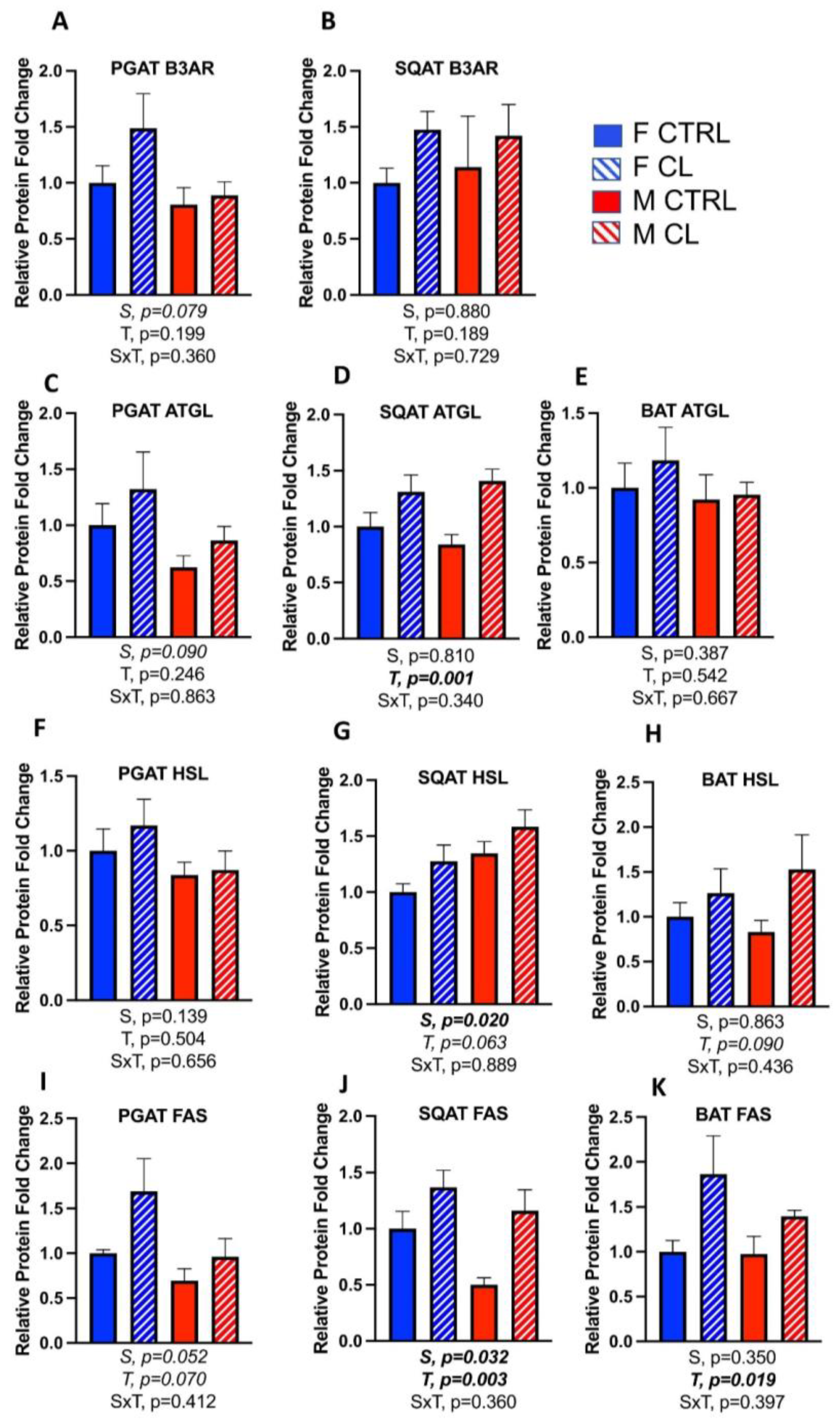 Cells 10 03453 g008 550