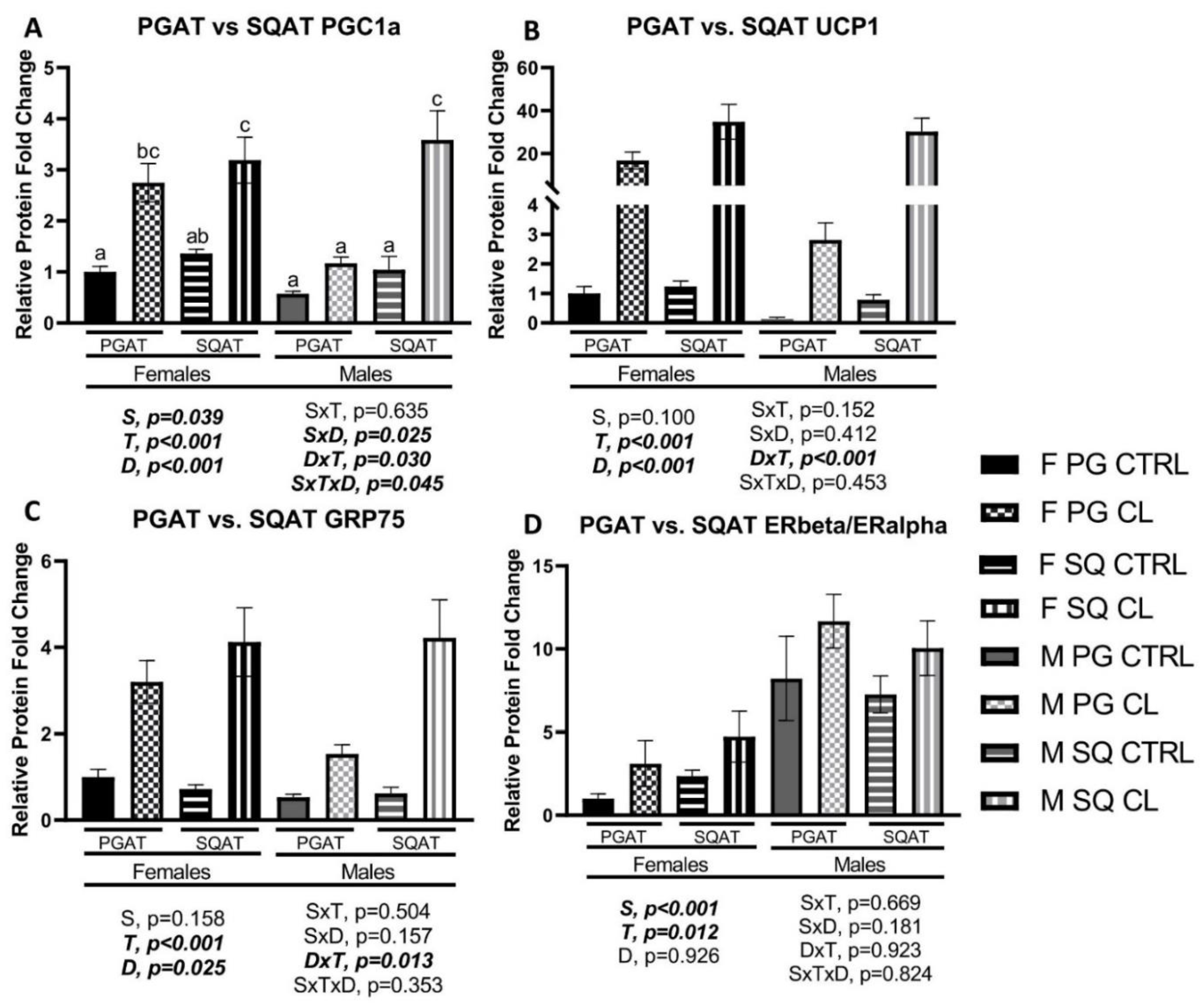 Cells 10 03453 g011 550