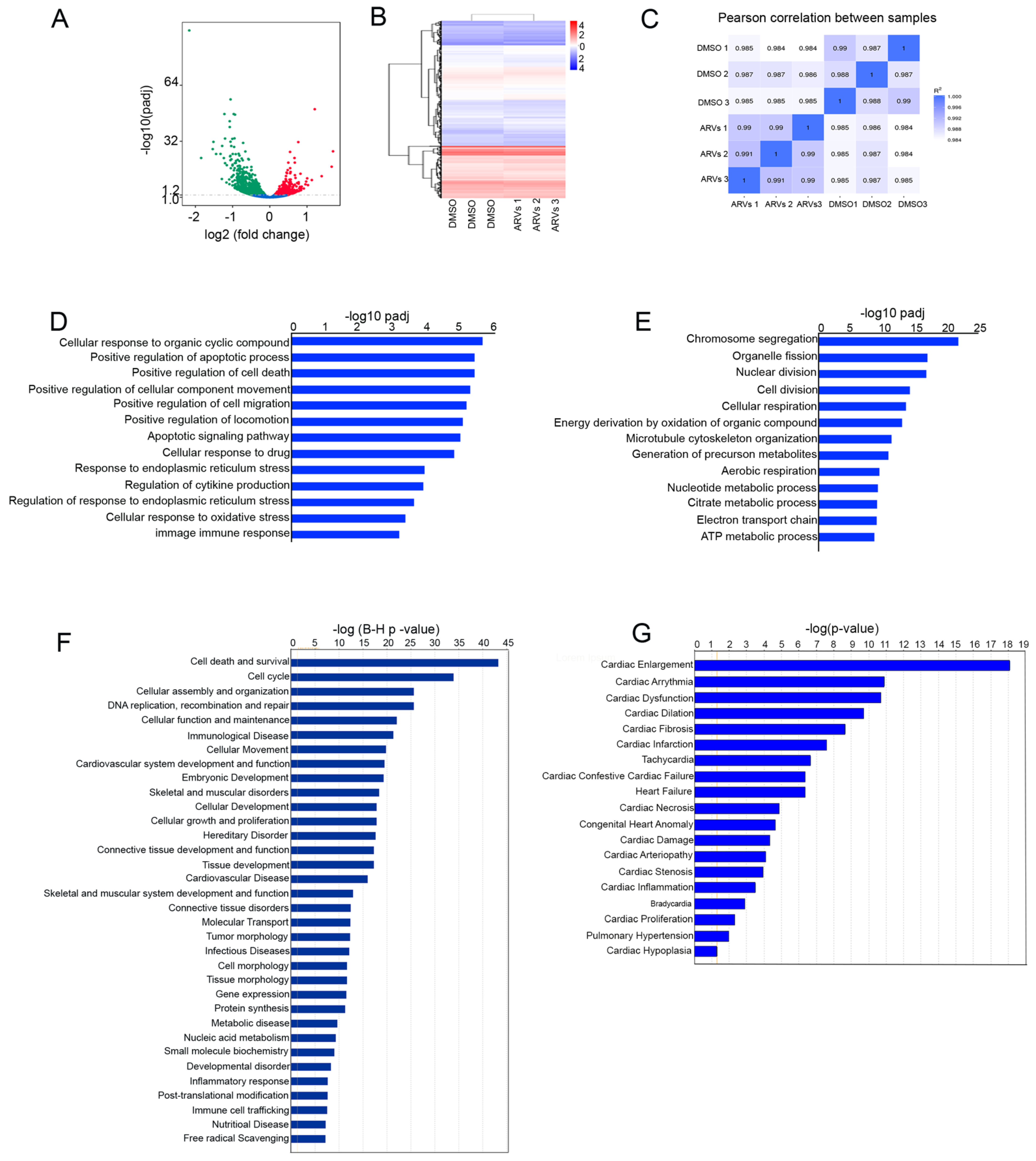Cells 10 03458 g001 Cells 10 03458 g001
