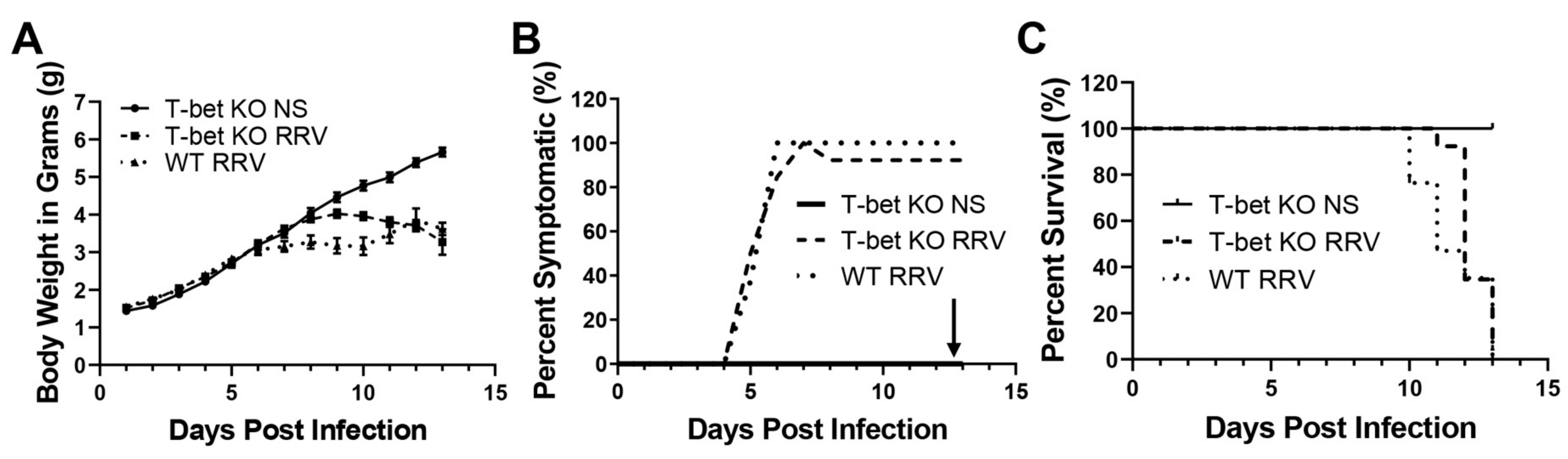 Cells 10 03461 g001 550