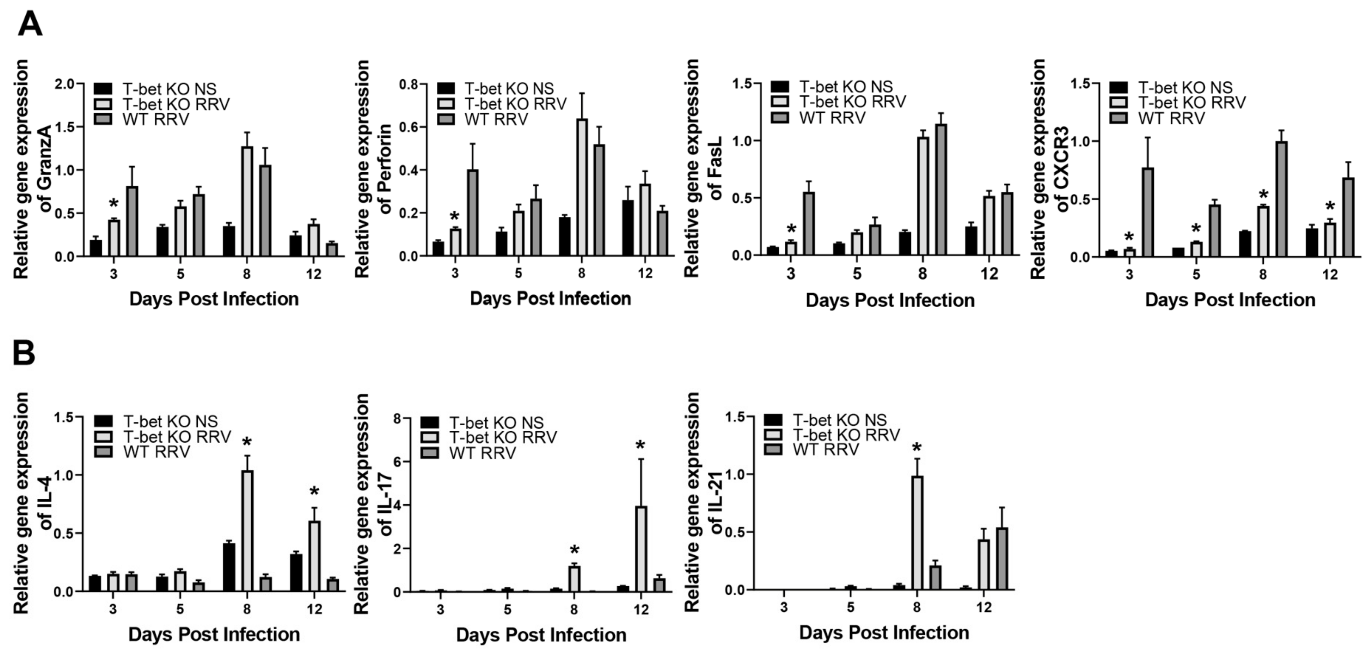 Cells 10 03461 g005 550