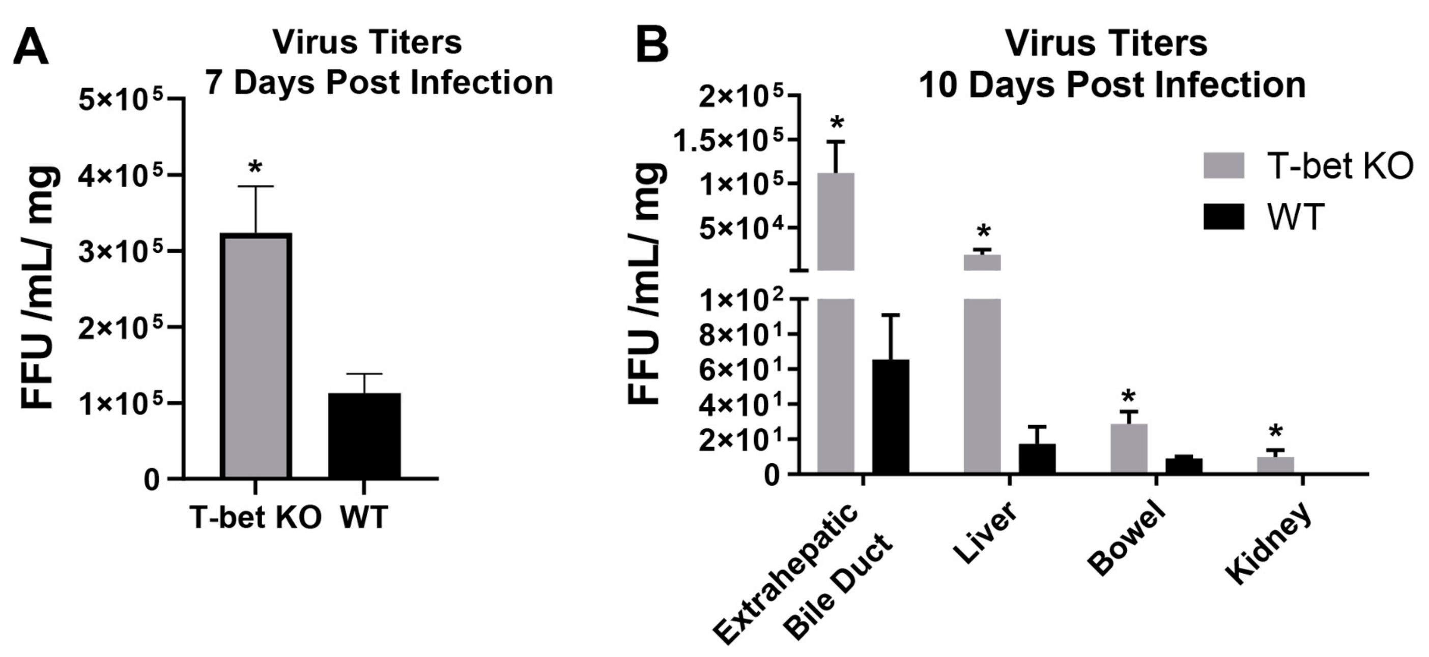 Cells 10 03461 g008 550