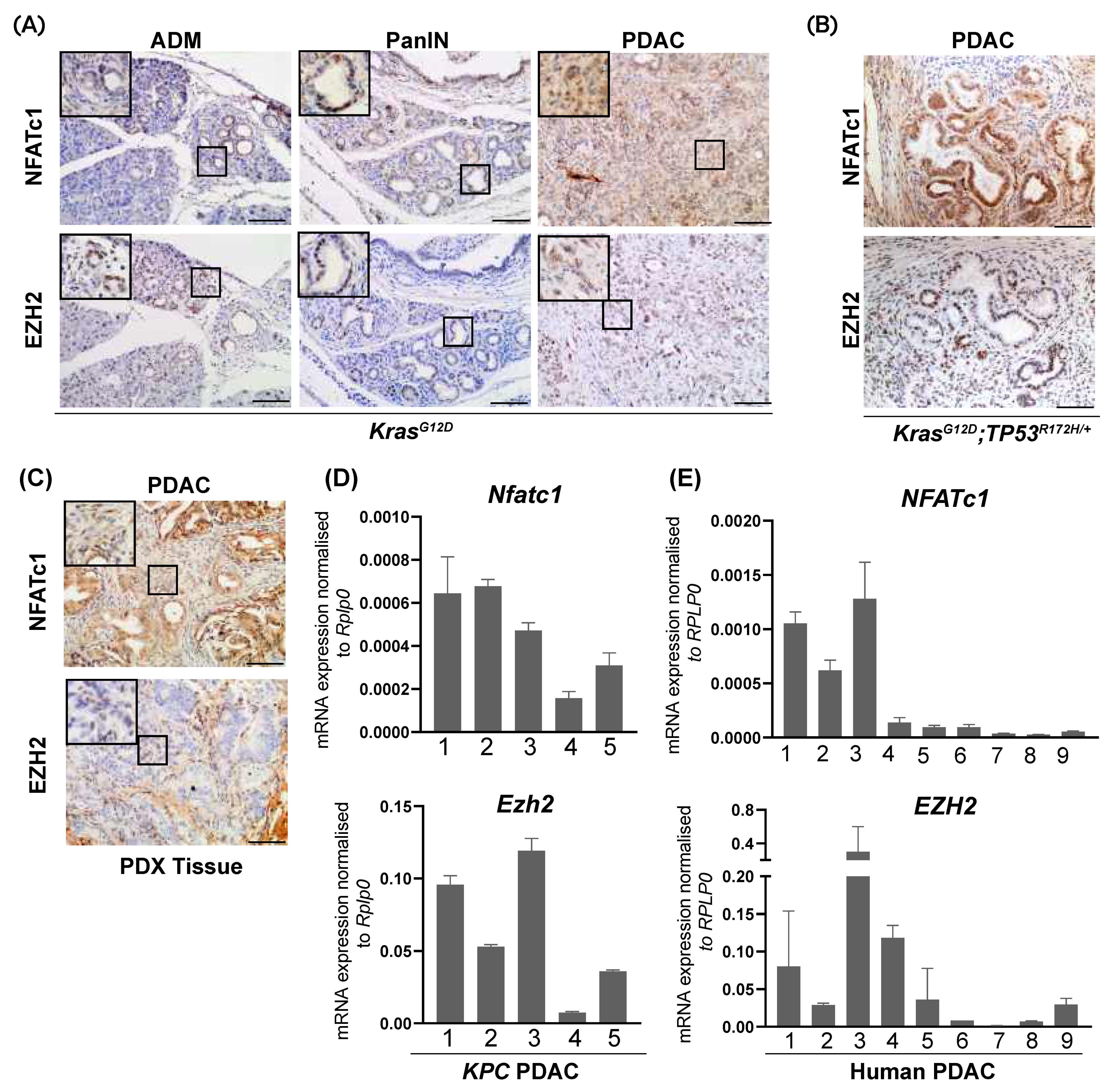 Cells 10 03463 g001 Cells 10 03463 g001