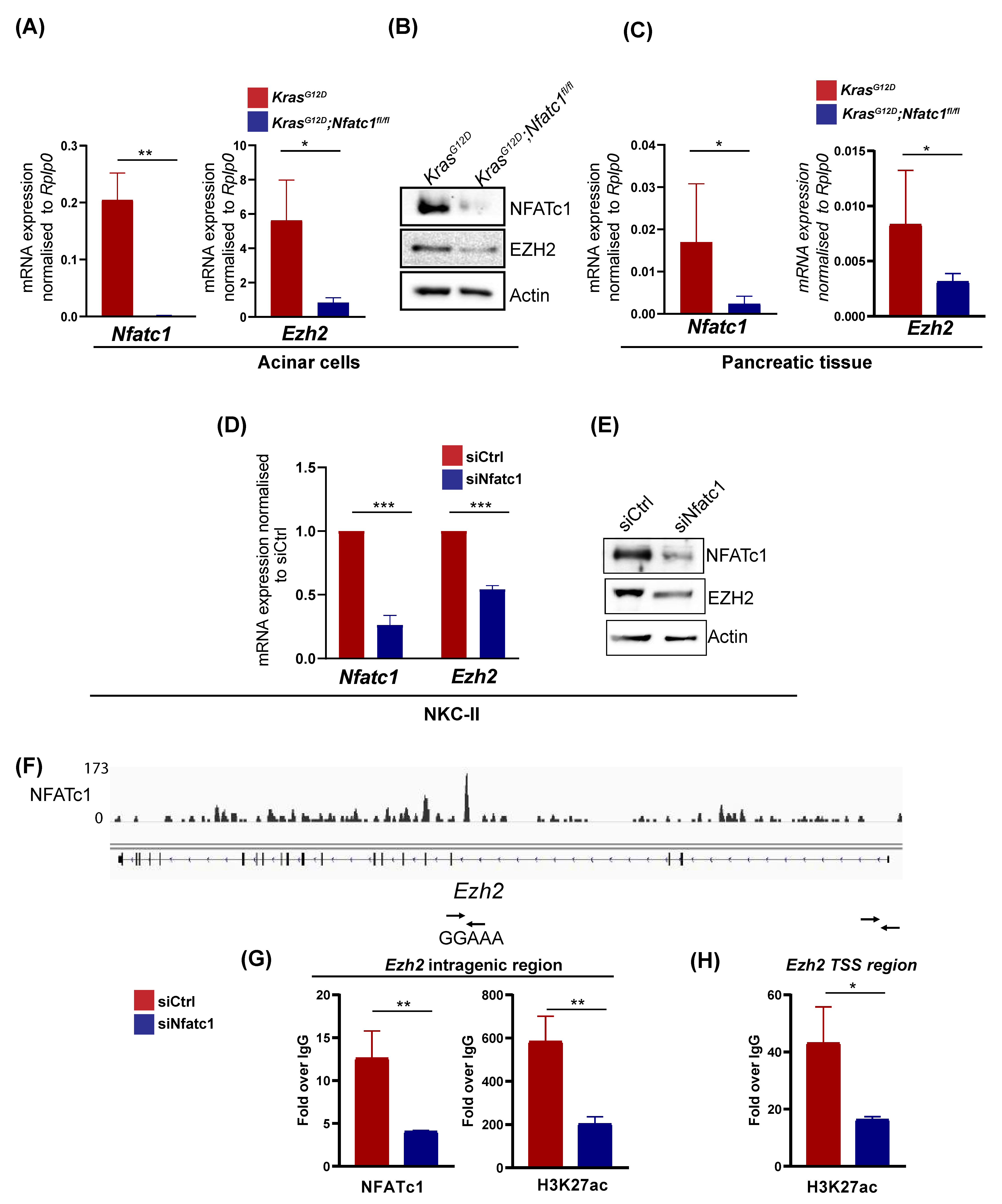 Cells 10 03463 g002 Cells 10 03463 g002