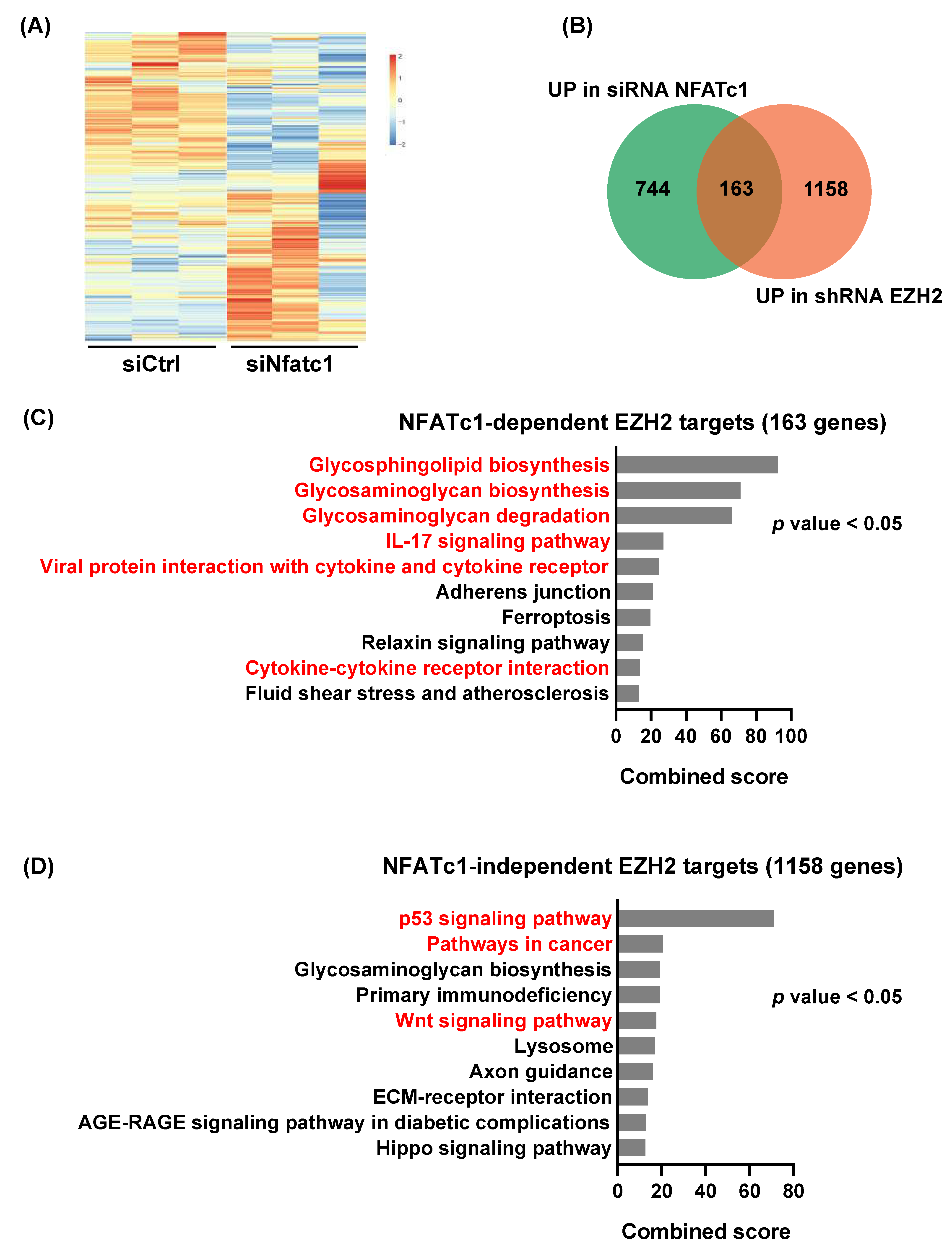 Cells 10 03463 g003 Cells 10 03463 g003